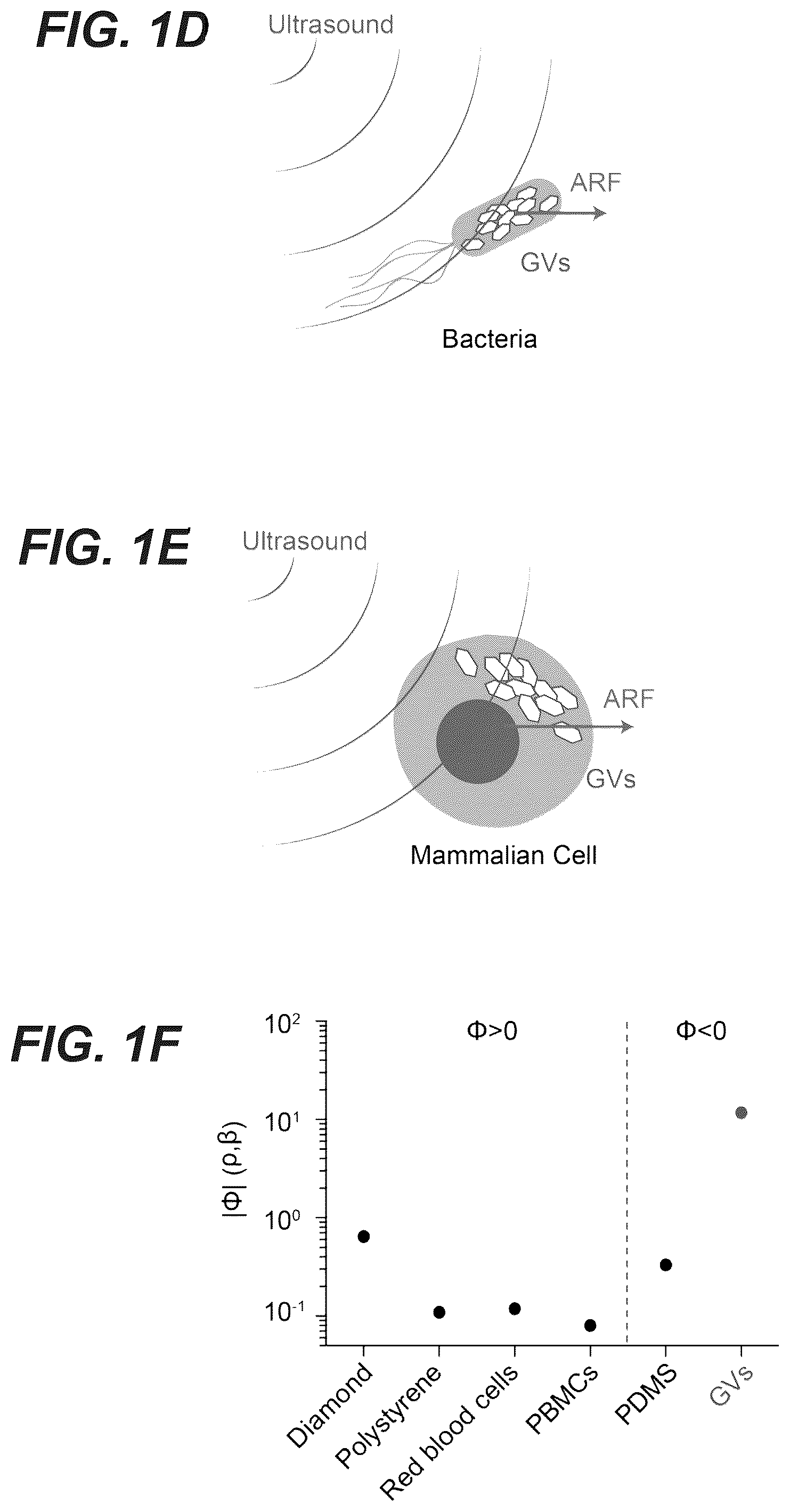 Patent US12551893 Figure 2 – Genetically encoded actuators for acoustic manipulation