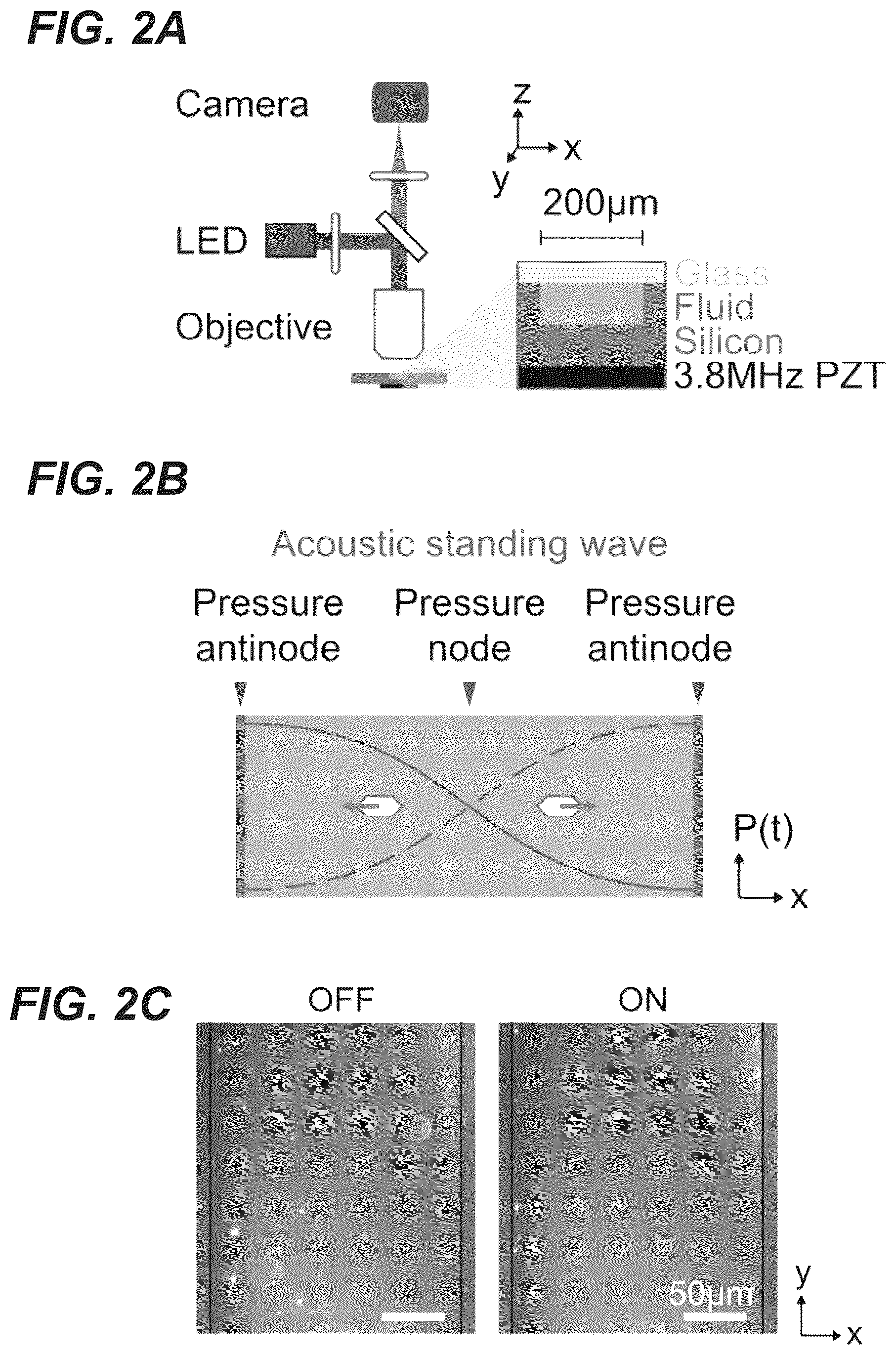 Patent US12551893 Figure 3 – Genetically encoded actuators for acoustic manipulation