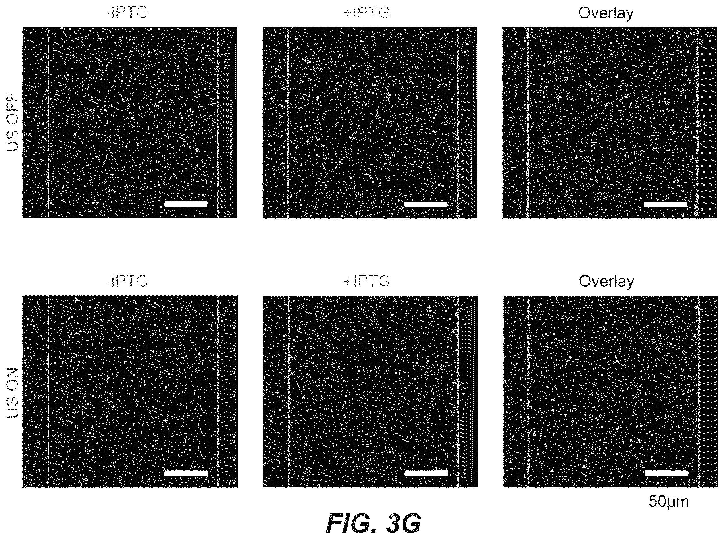 Patent US12551893 Figure 9 – Genetically encoded actuators for acoustic manipulation