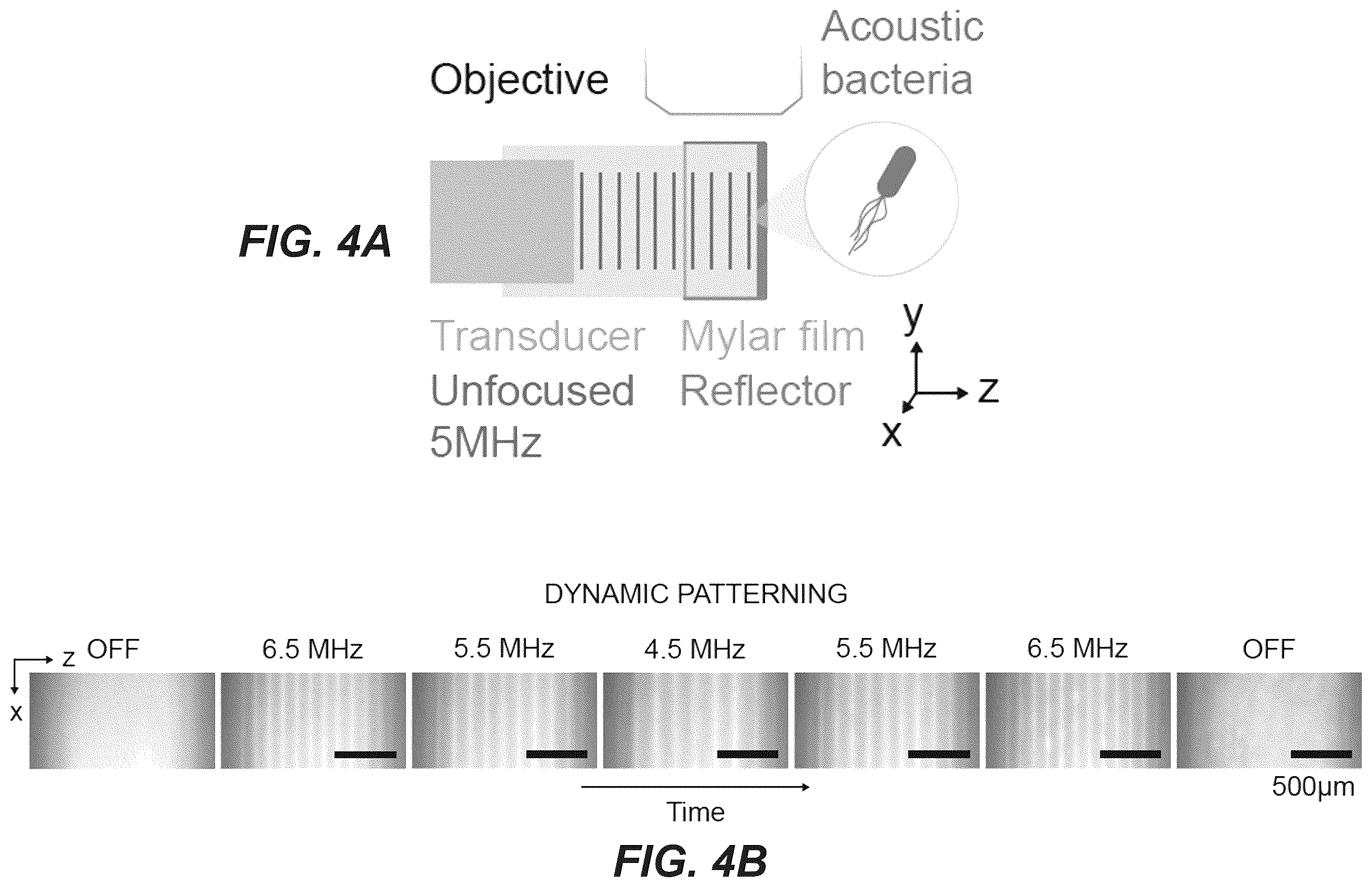 Patent US12551893 Figure 11 – Genetically encoded actuators for acoustic manipulation