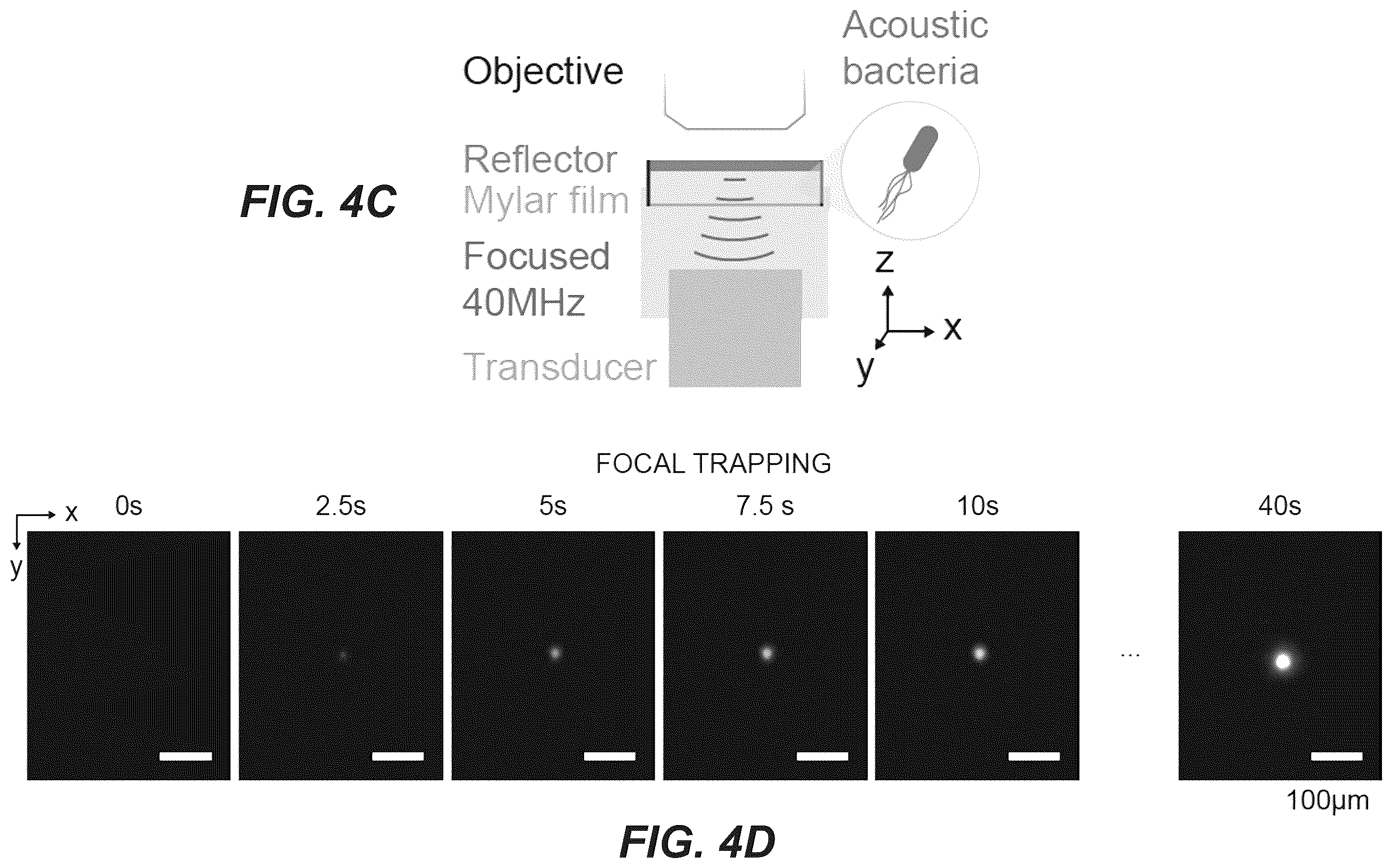 Patent US12551893 Figure 12 – Genetically encoded actuators for acoustic manipulation