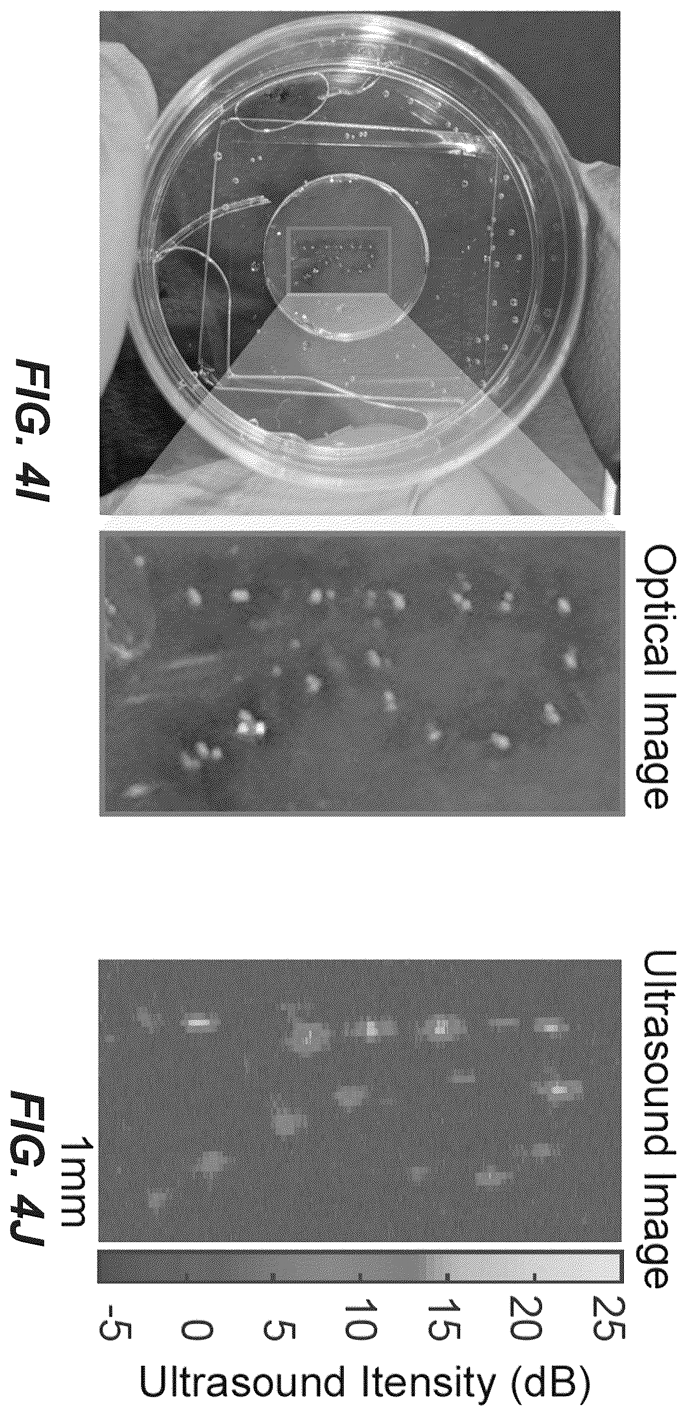 Patent US12551893 Figure 15 – Genetically encoded actuators for acoustic manipulation