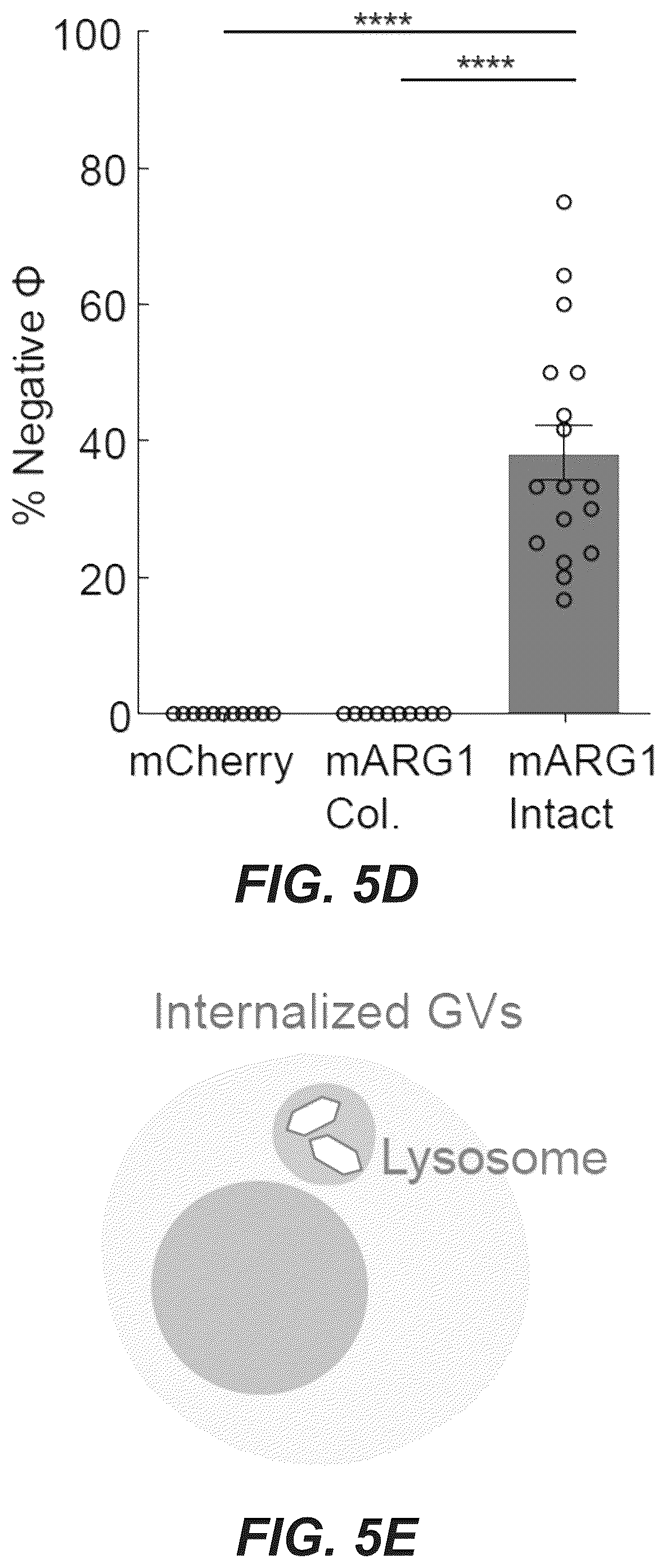 Patent US12551893 Figure 18 – Genetically encoded actuators for acoustic manipulation