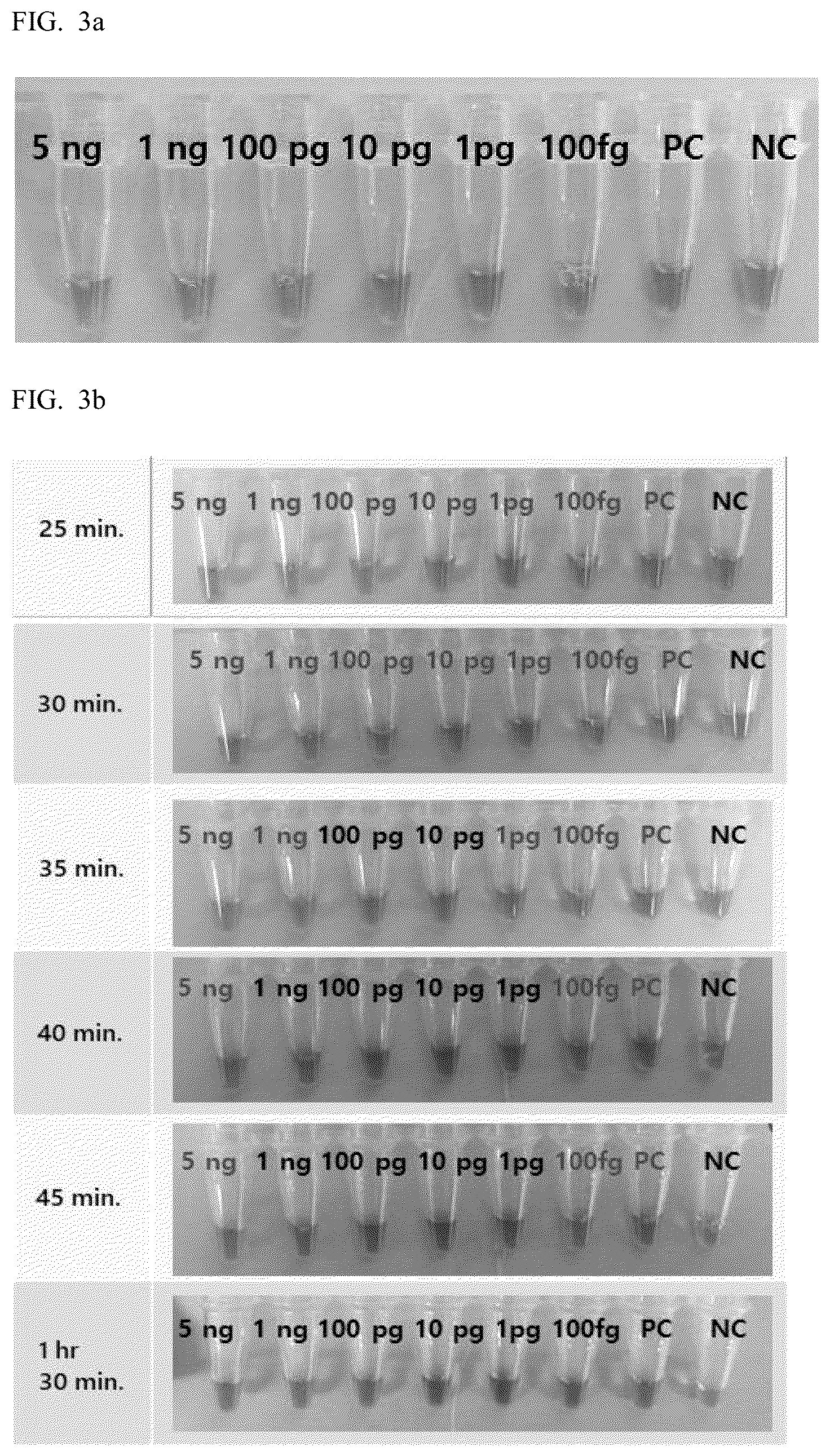 Patent US12551899 Figure 2 – Portable device for lamp PCR