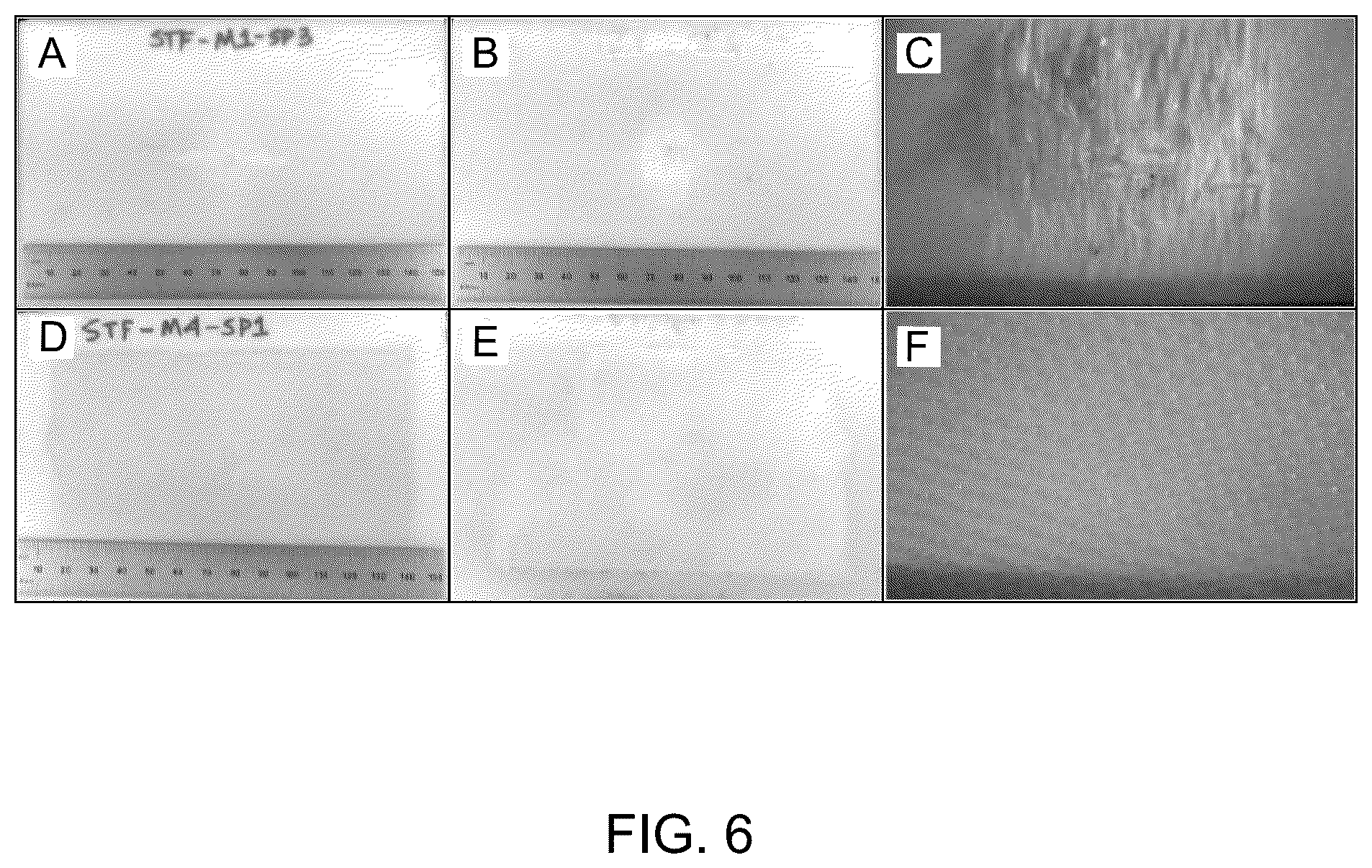 Patent US12552132 Figure 4 – Impact-resistant, damage tolerant composites with shear thickening fluid layers and uses thereof
