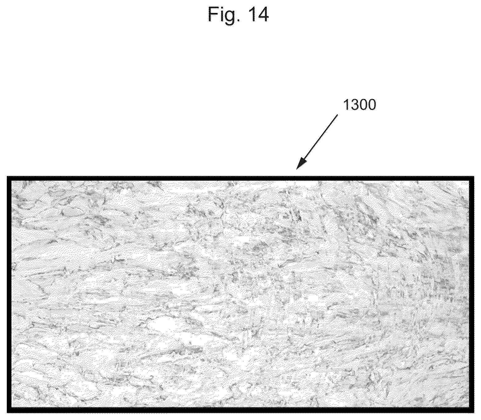 Patent US12552196 Figure 14 – Method and apparatus for producing engineered stone slabs