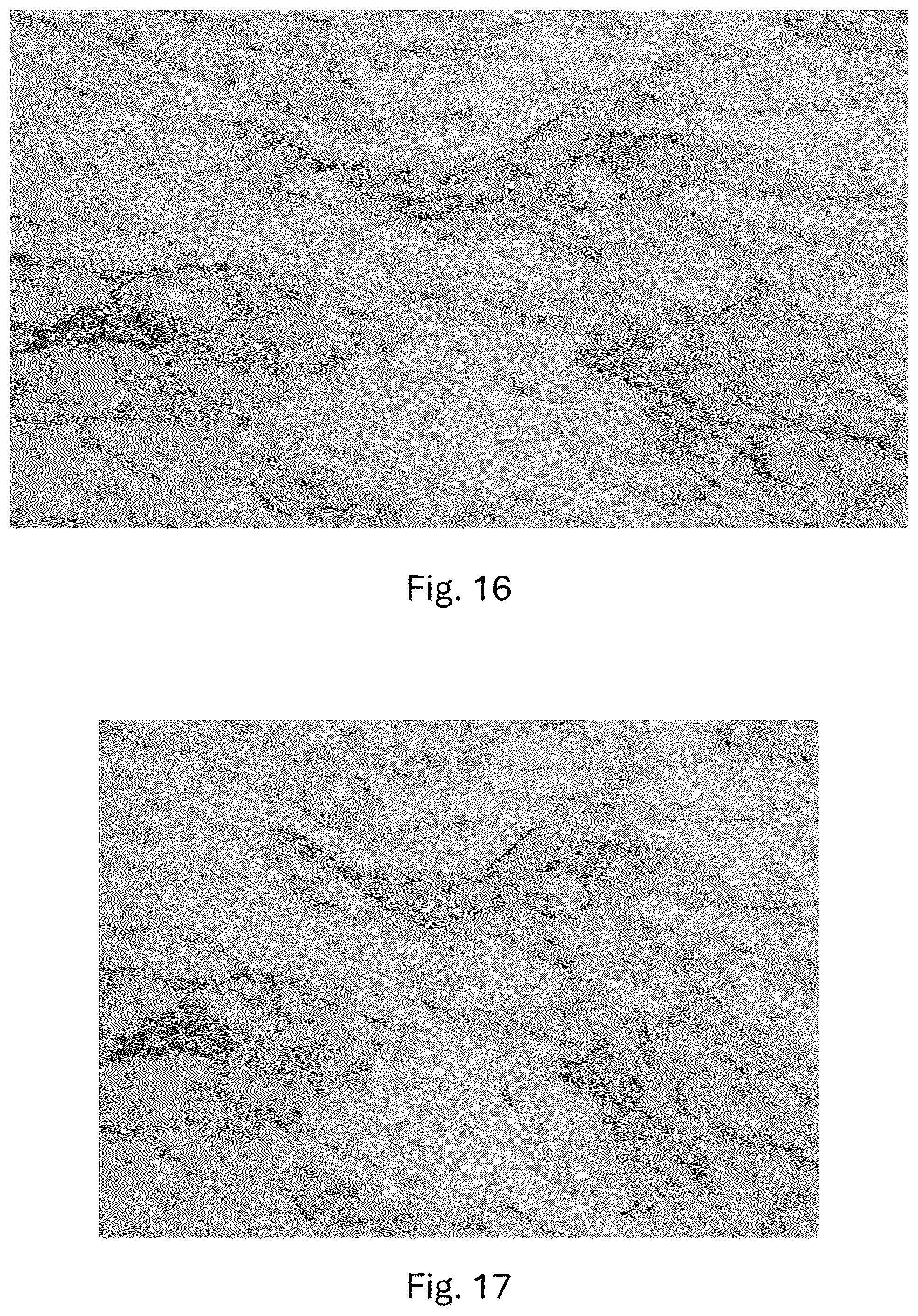 Patent US12552196 Figure 16 – Method and apparatus for producing engineered stone slabs