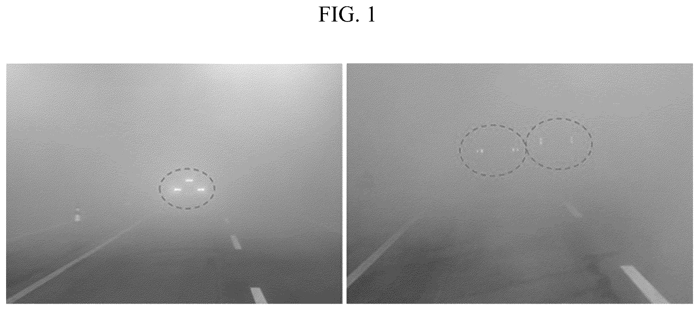 Patent US12552309 Figure 1 – Automatic light intensity control device for vehicle rear lamps in response to changes in visibility distance and its control method