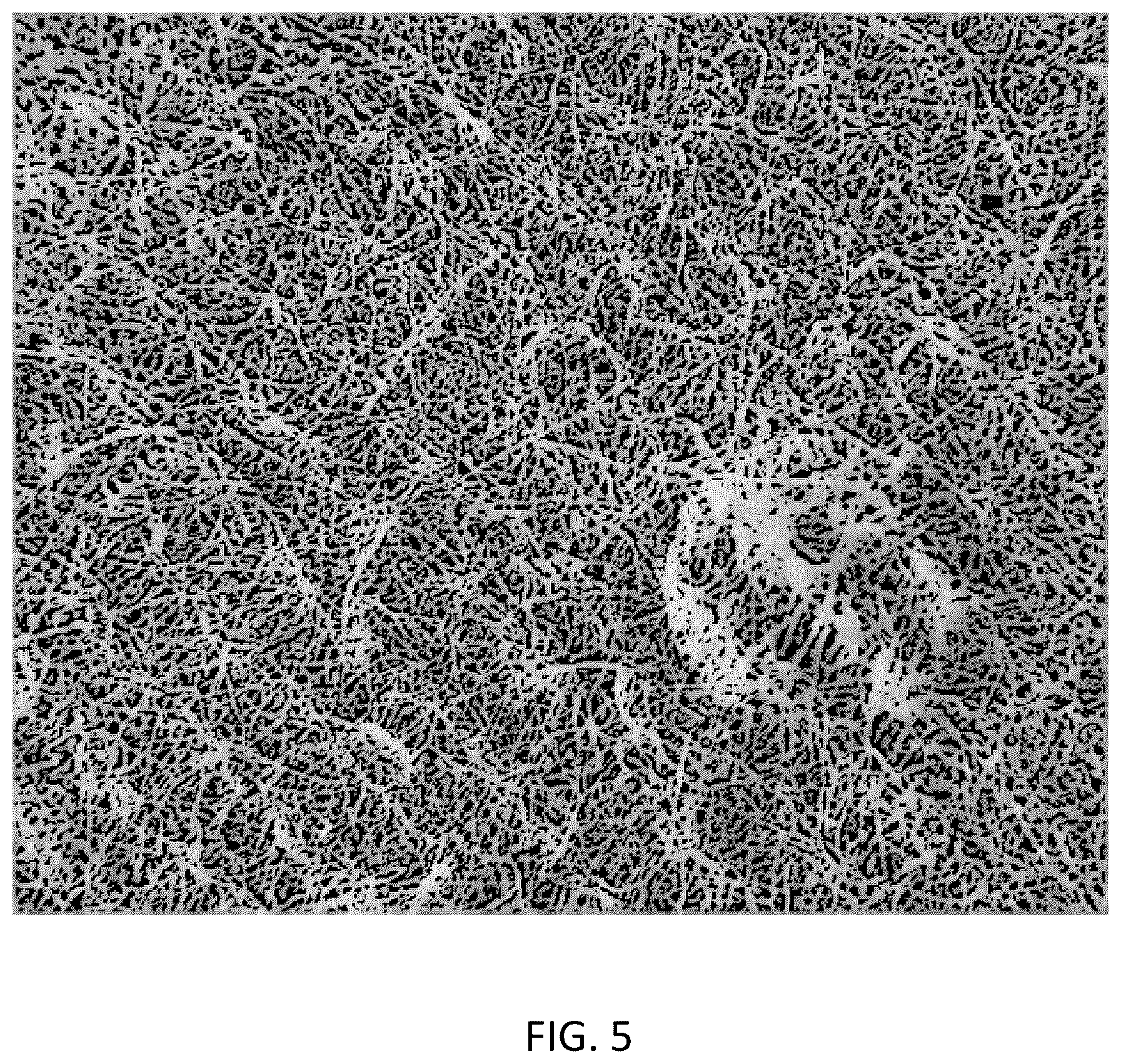 Patent US12552589 Figure 9 – Biodegradable pulp packaging products from natural fibers