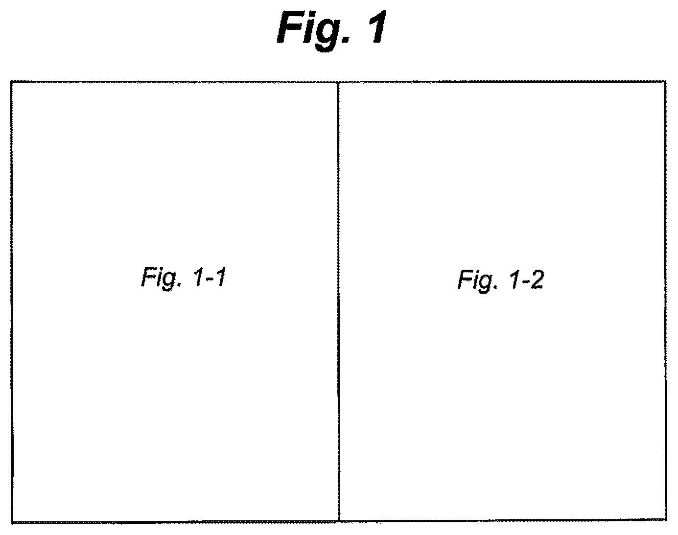 Patent US12552726 Figure 1 – Incorporation of biological agents in fertilizers