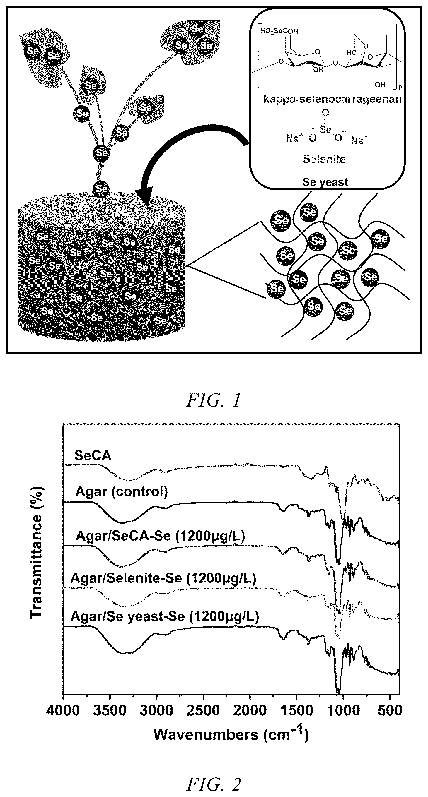Patent US12552728 Figure 1 – Method for preparing selenium-water-soluble polysaccharide hydrogel and use thereof in selenium enrichment in plants