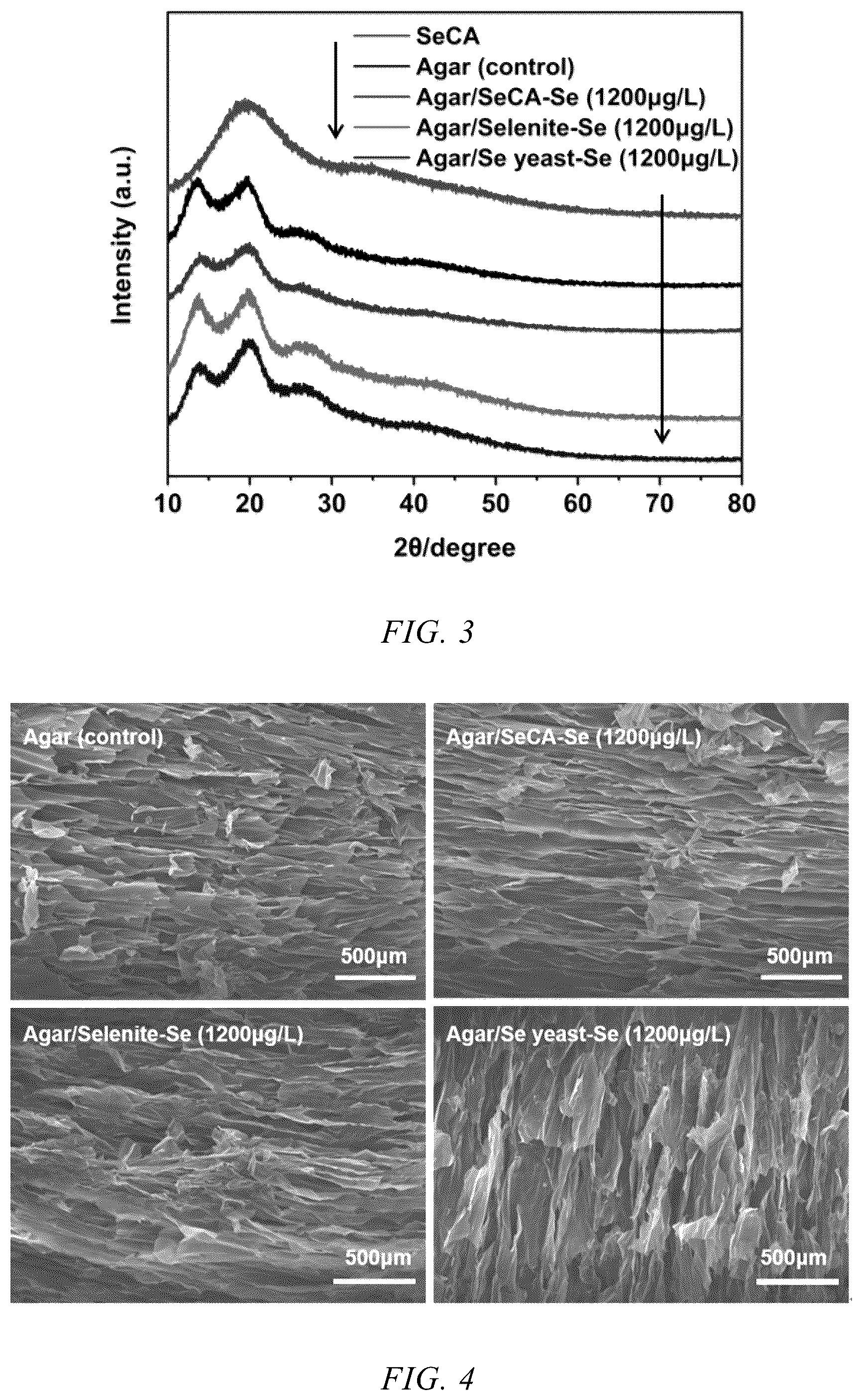 Patent US12552728 Figure 2 – Method for preparing selenium-water-soluble polysaccharide hydrogel and use thereof in selenium enrichment in plants