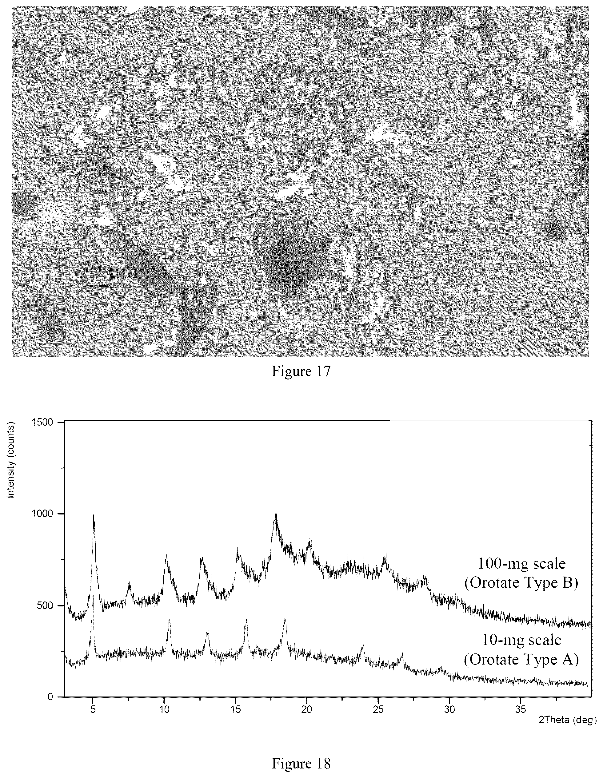 Patent US12552738 Figure 9 – Crystal forms of amino lipids