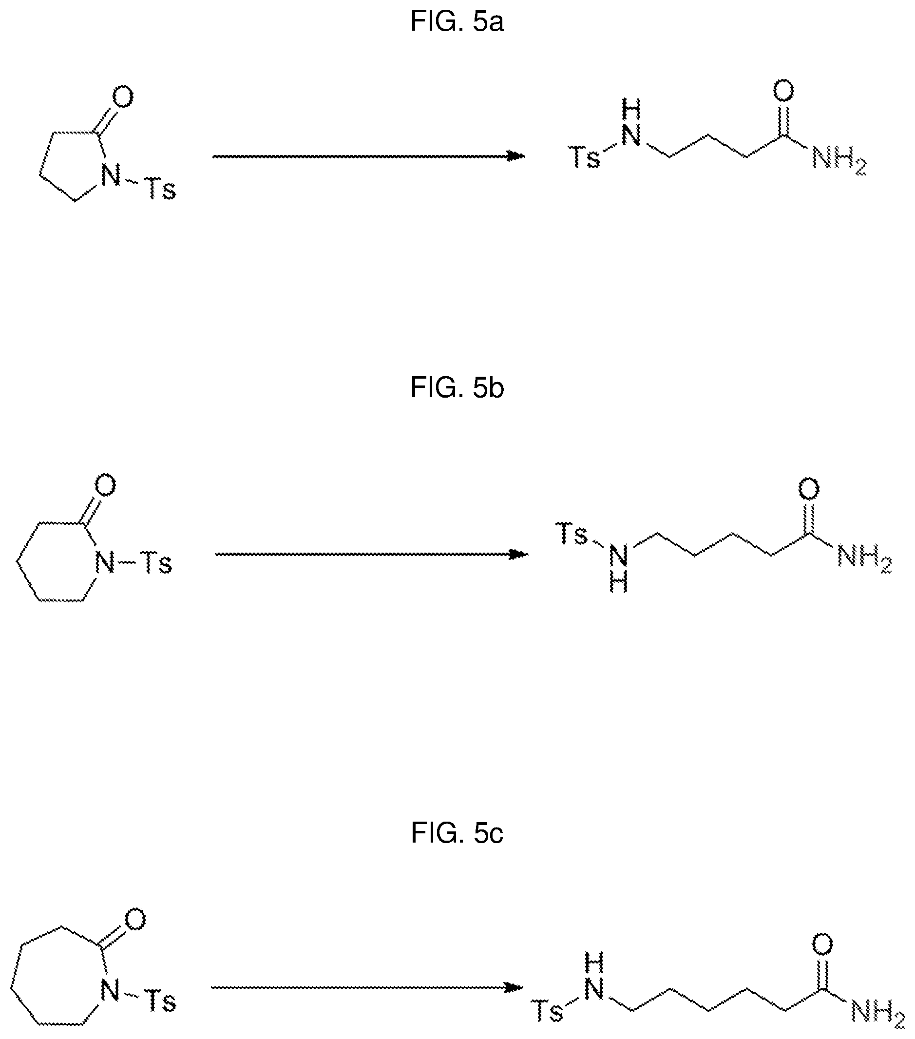 Patent US12552739 Figure 3 – Method for preparing primary amide compounds from secondary or tertiary amides
