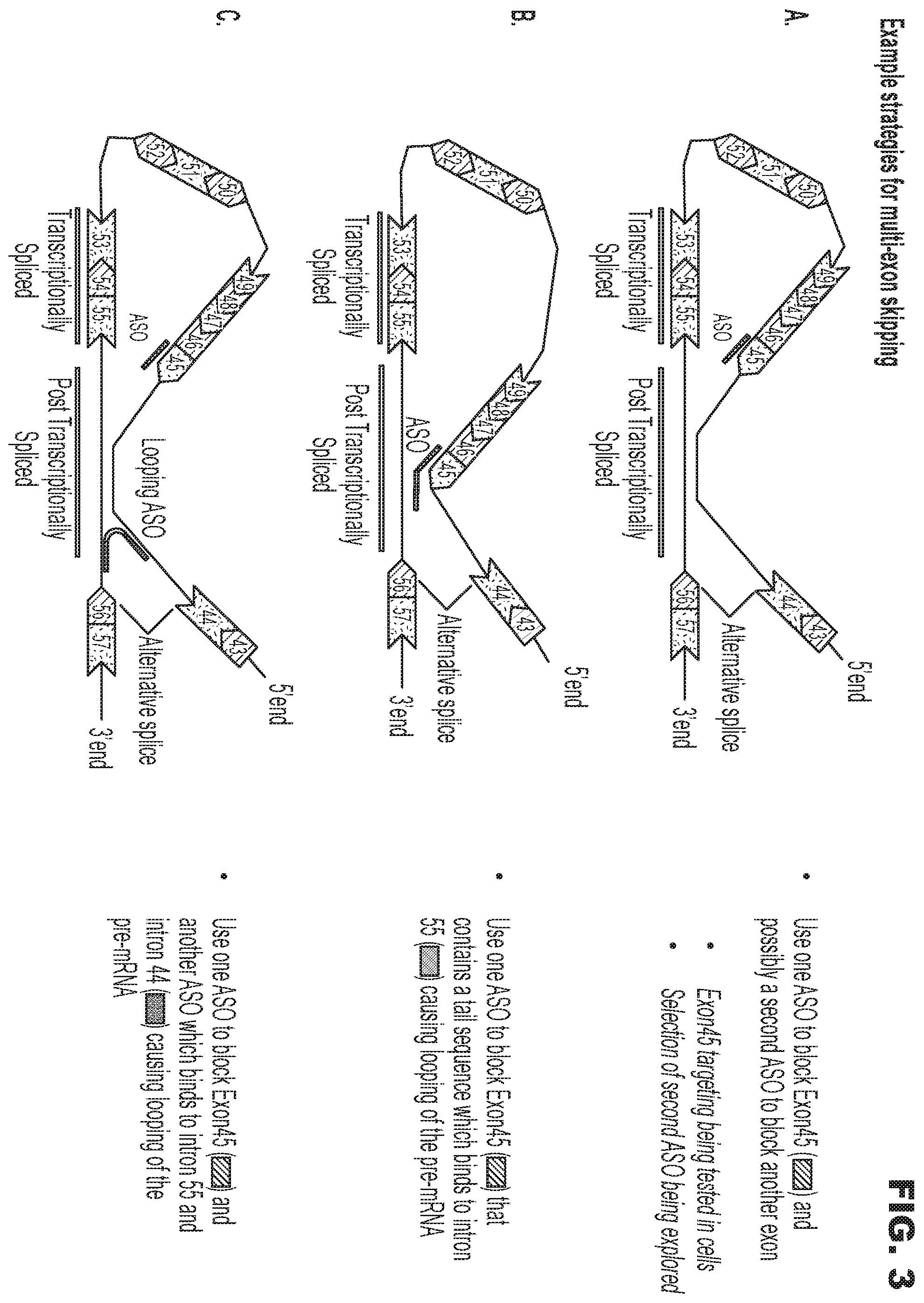 Patent US12552743 Figure 3 – Oligonucleotide compositions and methods of use thereof