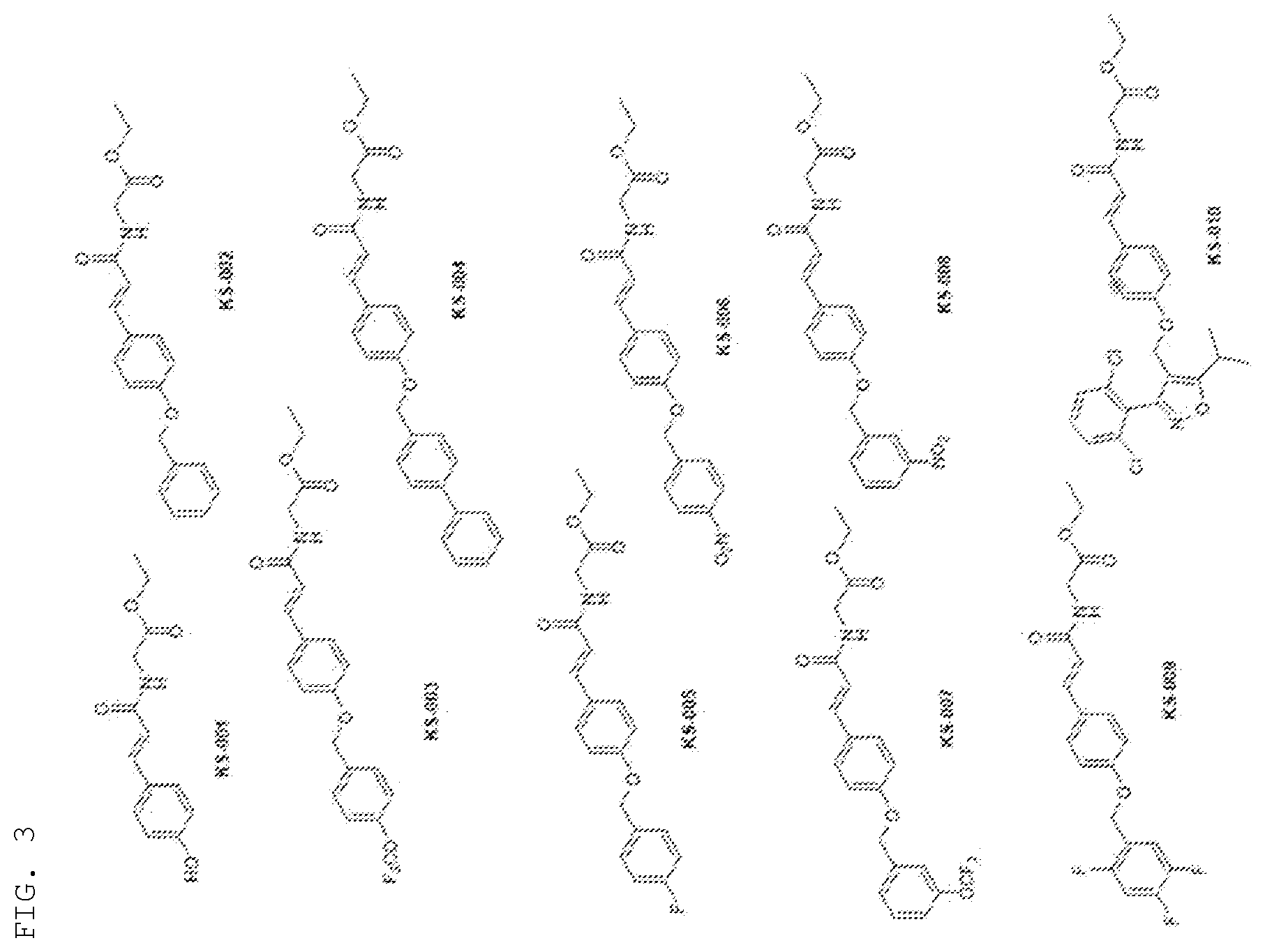 Patent US12552755 Figure 2 – Cinnamic amide derivative having FXR activating effect, pharmaceutical composition containing the same as active ingredient, and method for preparing the same