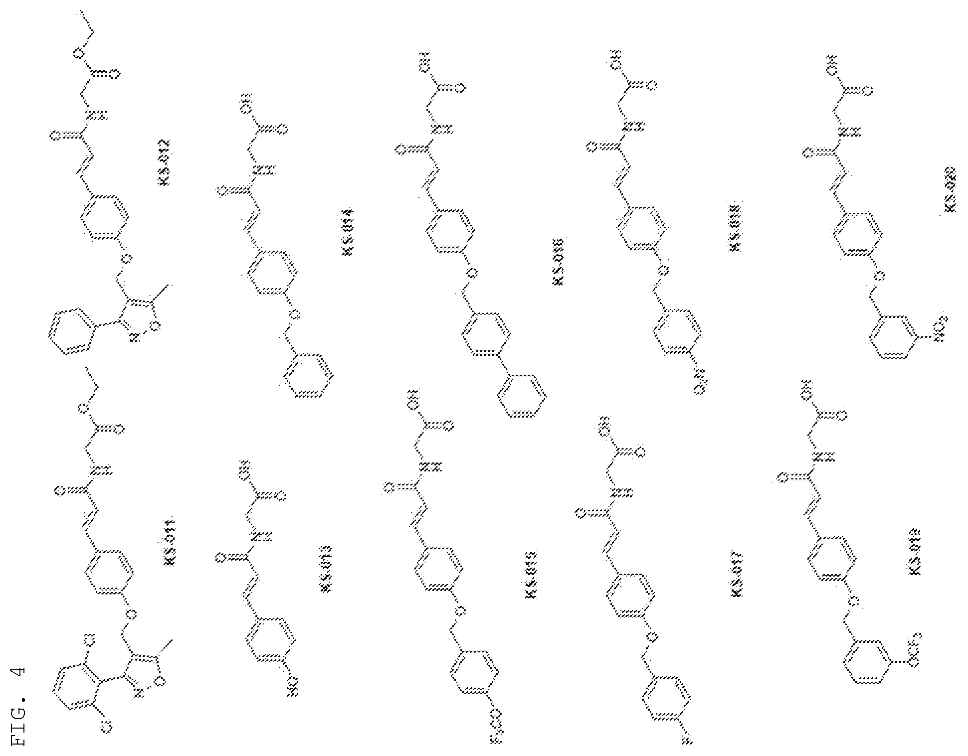 Patent US12552755 Figure 3 – Cinnamic amide derivative having FXR activating effect, pharmaceutical composition containing the same as active ingredient, and method for preparing the same