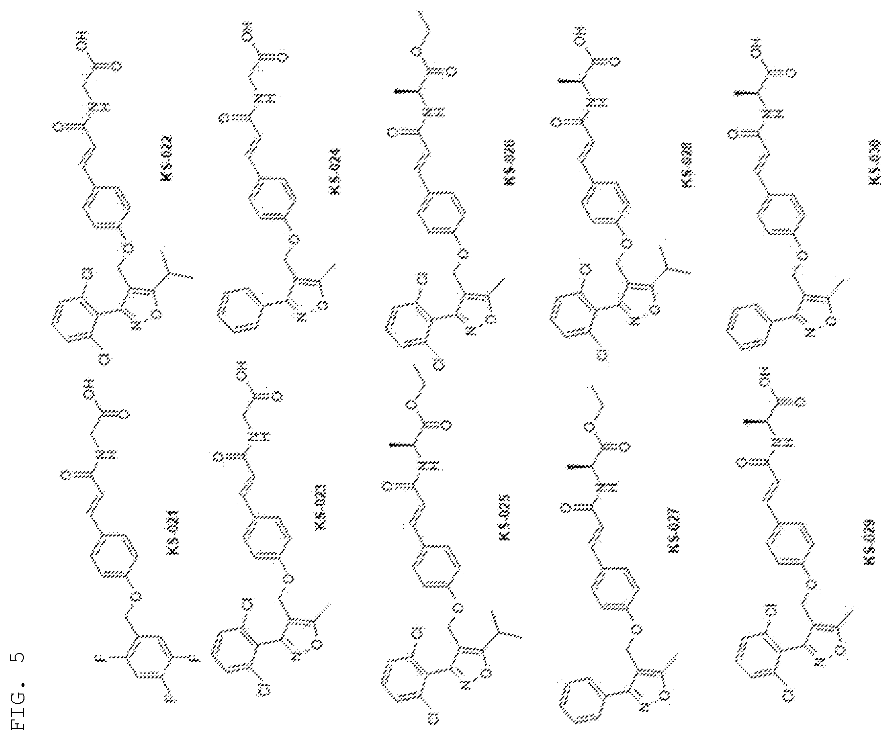 Patent US12552755 Figure 4 – Cinnamic amide derivative having FXR activating effect, pharmaceutical composition containing the same as active ingredient, and method for preparing the same