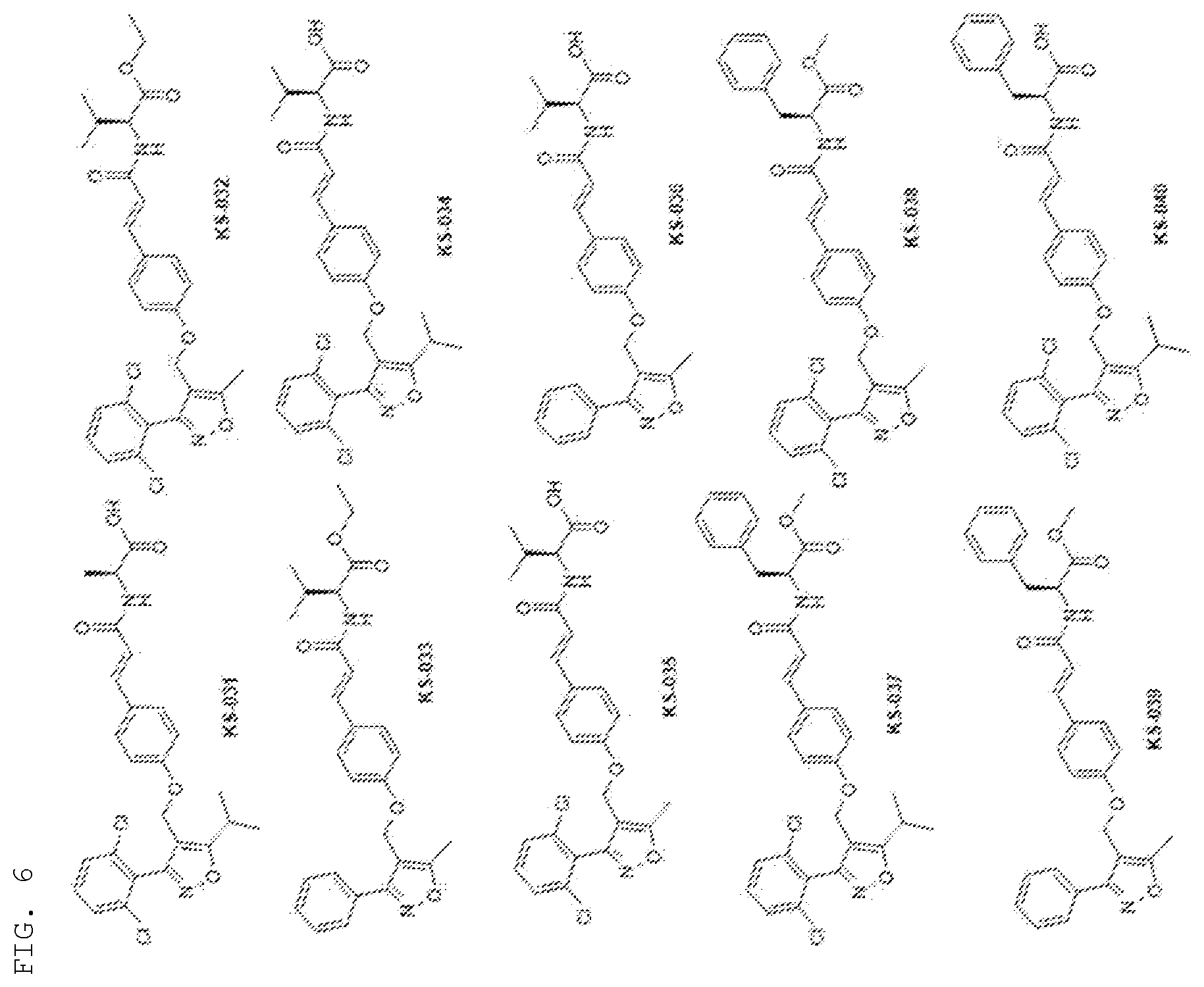 Patent US12552755 Figure 5 – Cinnamic amide derivative having FXR activating effect, pharmaceutical composition containing the same as active ingredient, and method for preparing the same