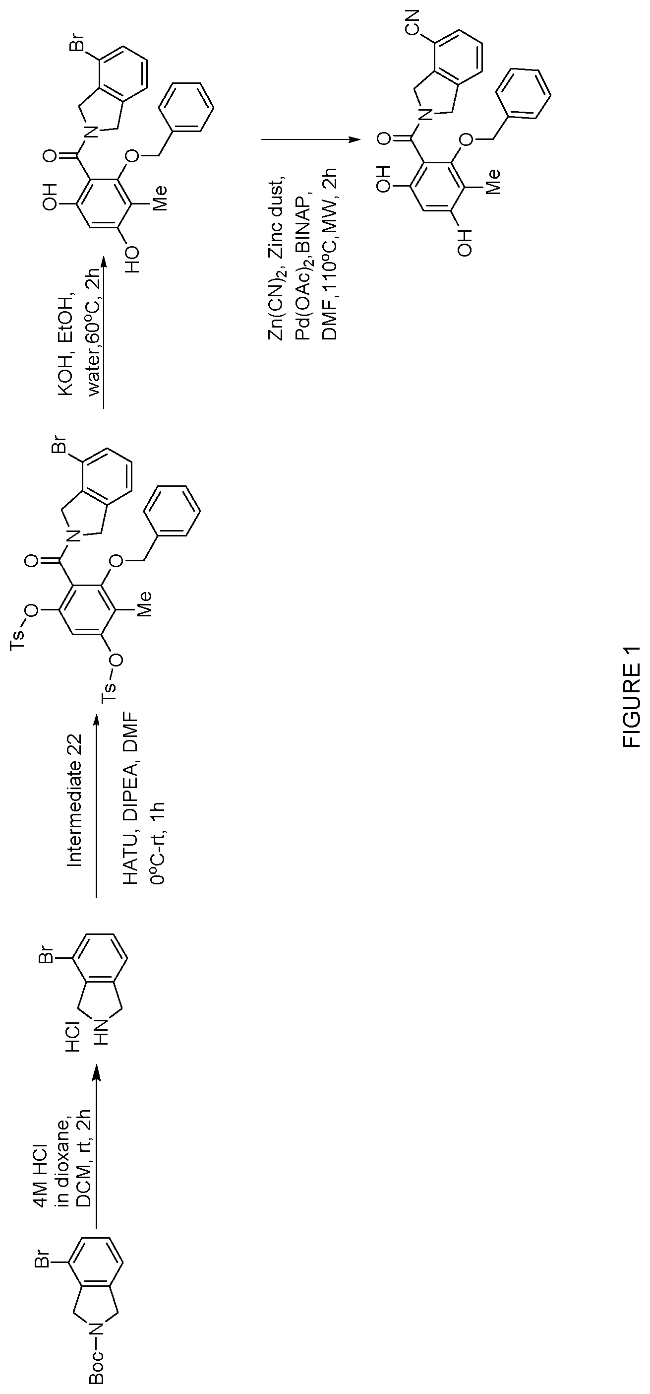 Patent US12552758 Figure 1 – Inhibitors of MLH1 and/or PMS2 for cancer treatment