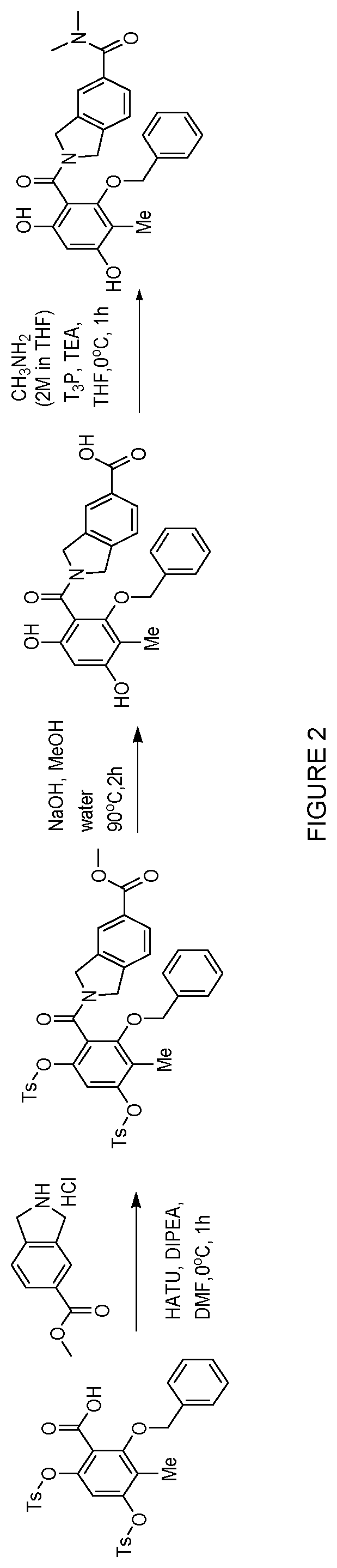 Patent US12552758 Figure 2 – Inhibitors of MLH1 and/or PMS2 for cancer treatment