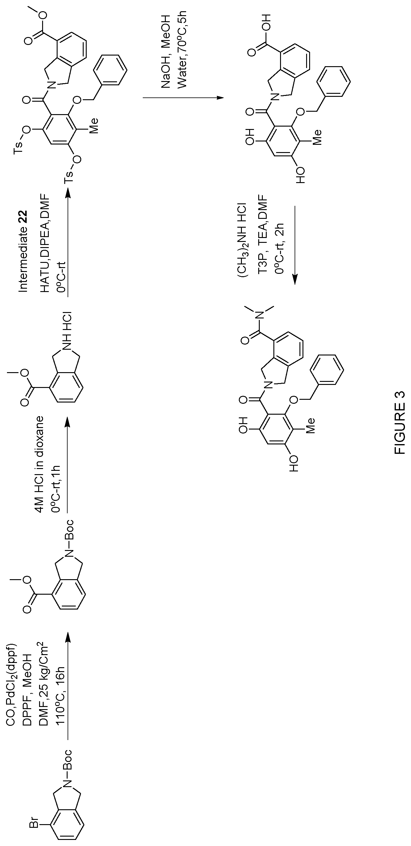 Patent US12552758 Figure 3 – Inhibitors of MLH1 and/or PMS2 for cancer treatment
