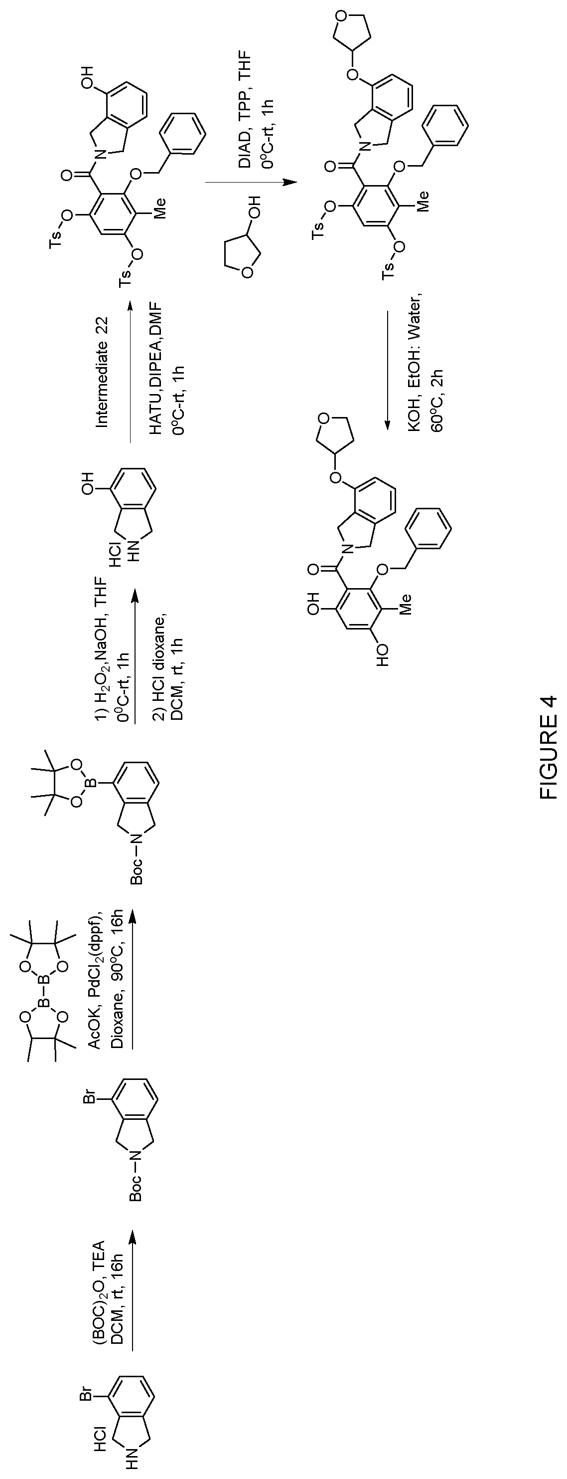 Patent US12552758 Figure 4 – Inhibitors of MLH1 and/or PMS2 for cancer treatment