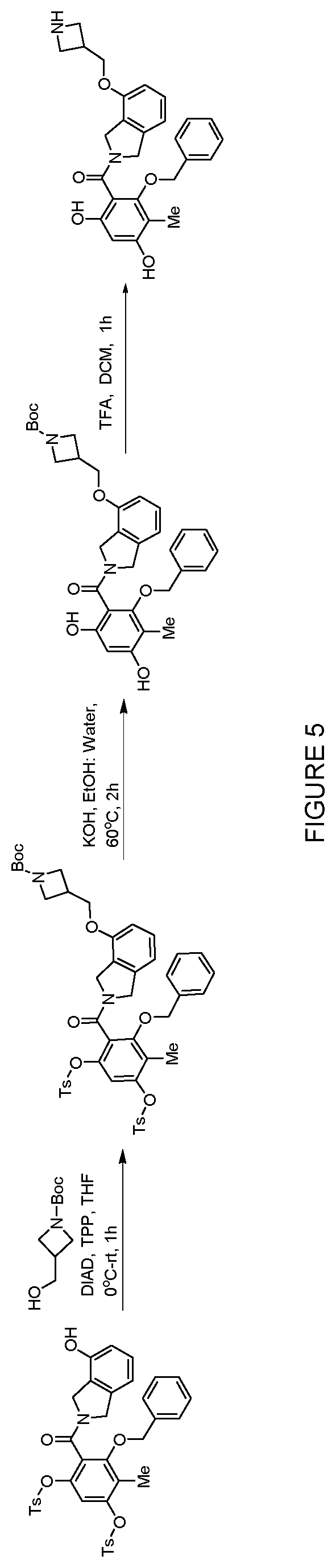 Patent US12552758 Figure 5 – Inhibitors of MLH1 and/or PMS2 for cancer treatment