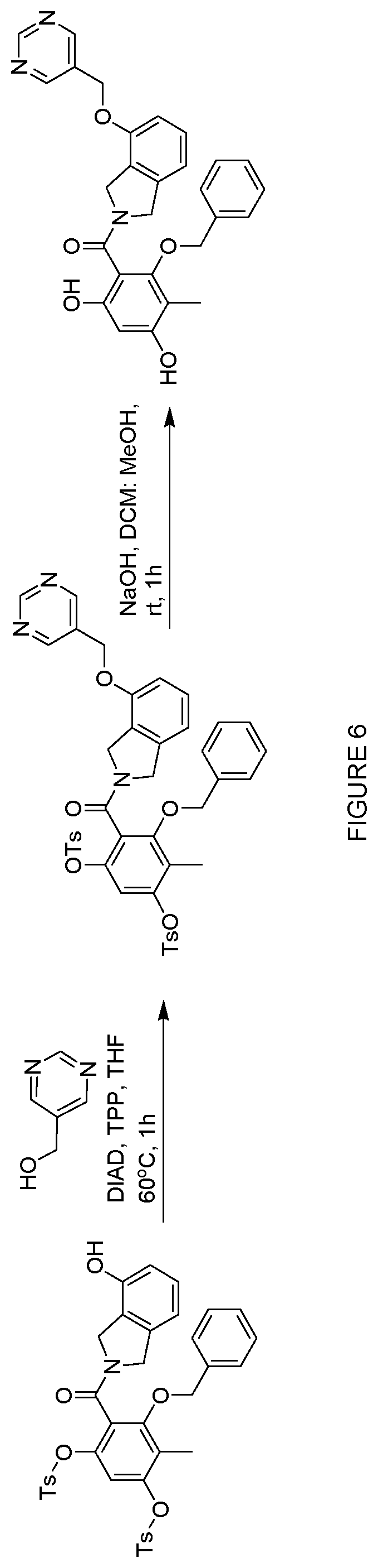 Patent US12552758 Figure 6 – Inhibitors of MLH1 and/or PMS2 for cancer treatment
