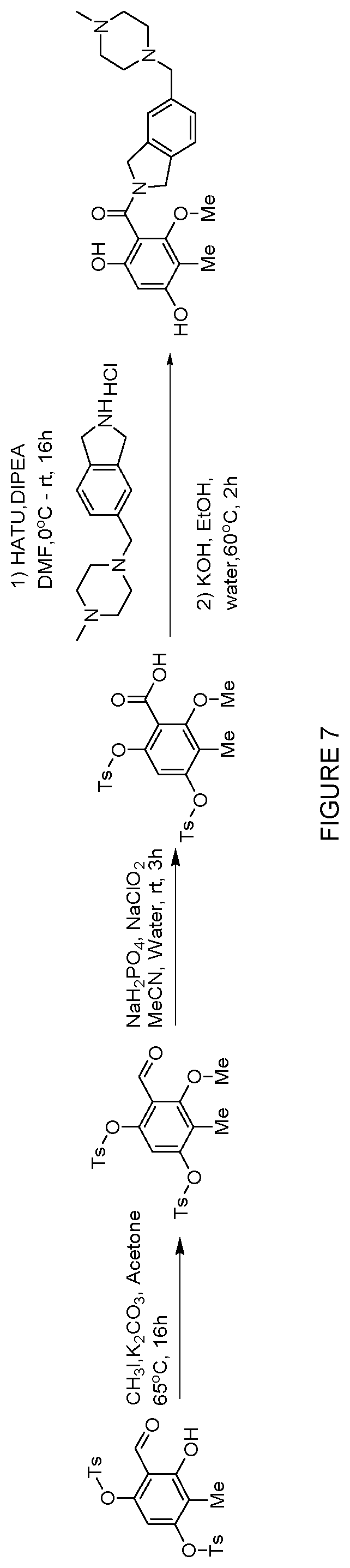 Patent US12552758 Figure 7 – Inhibitors of MLH1 and/or PMS2 for cancer treatment
