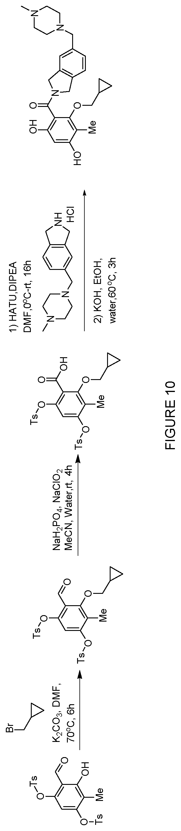 Patent US12552758 Figure 10 – Inhibitors of MLH1 and/or PMS2 for cancer treatment