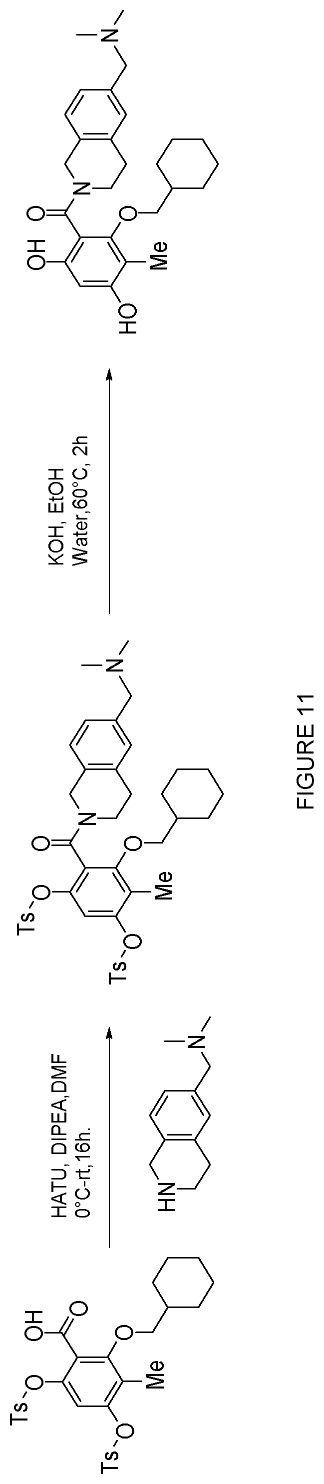 Patent US12552758 Figure 11 – Inhibitors of MLH1 and/or PMS2 for cancer treatment