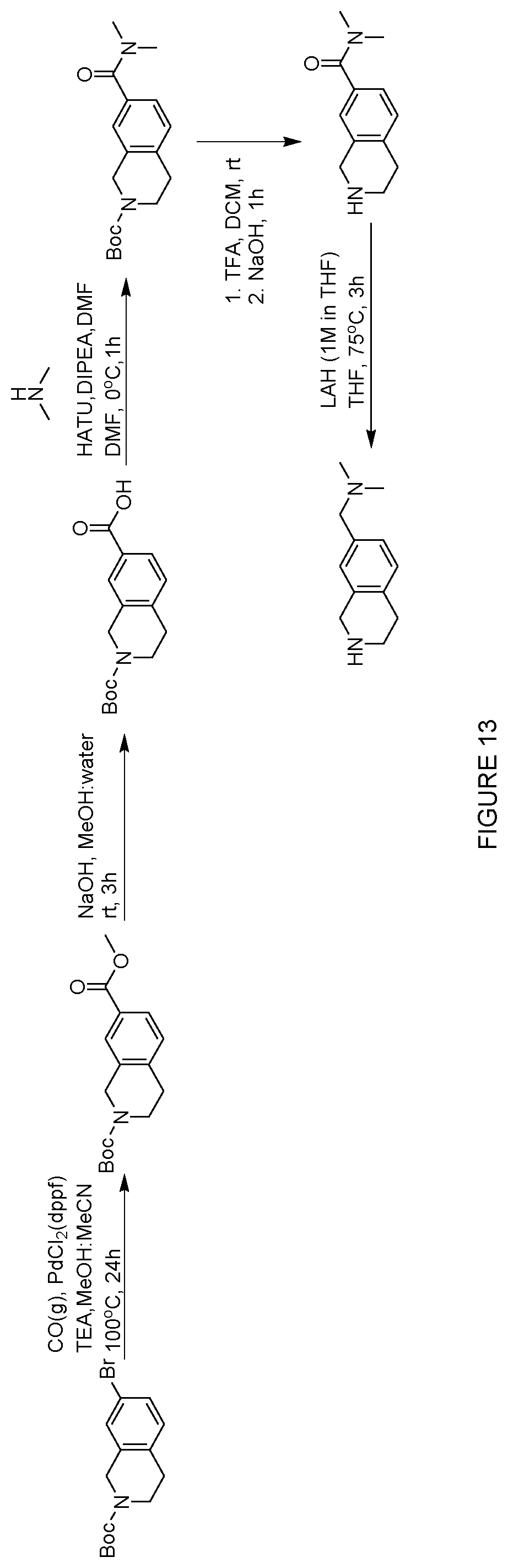 Patent US12552758 Figure 13 – Inhibitors of MLH1 and/or PMS2 for cancer treatment