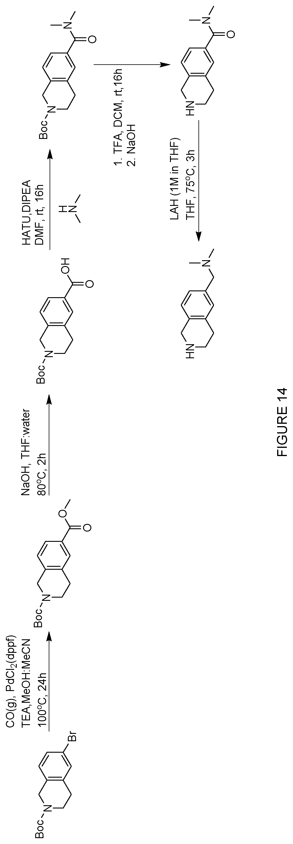 Patent US12552758 Figure 14 – Inhibitors of MLH1 and/or PMS2 for cancer treatment