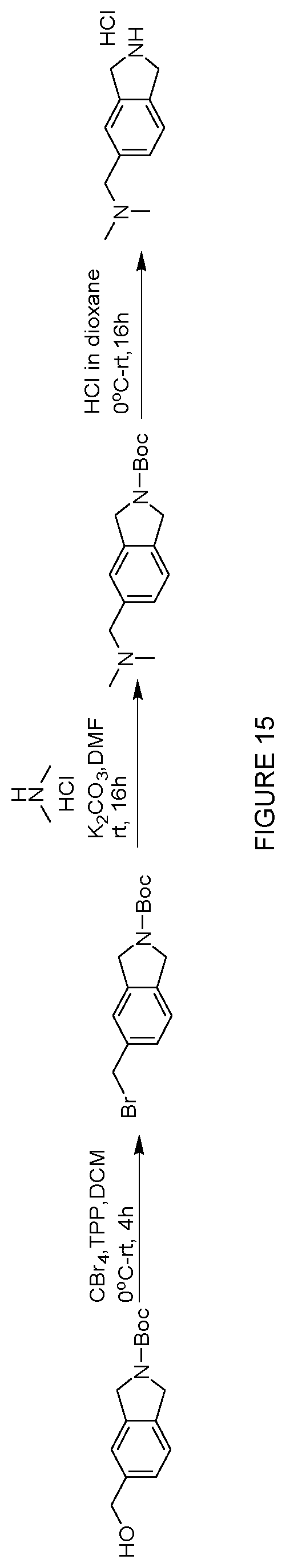 Patent US12552758 Figure 15 – Inhibitors of MLH1 and/or PMS2 for cancer treatment