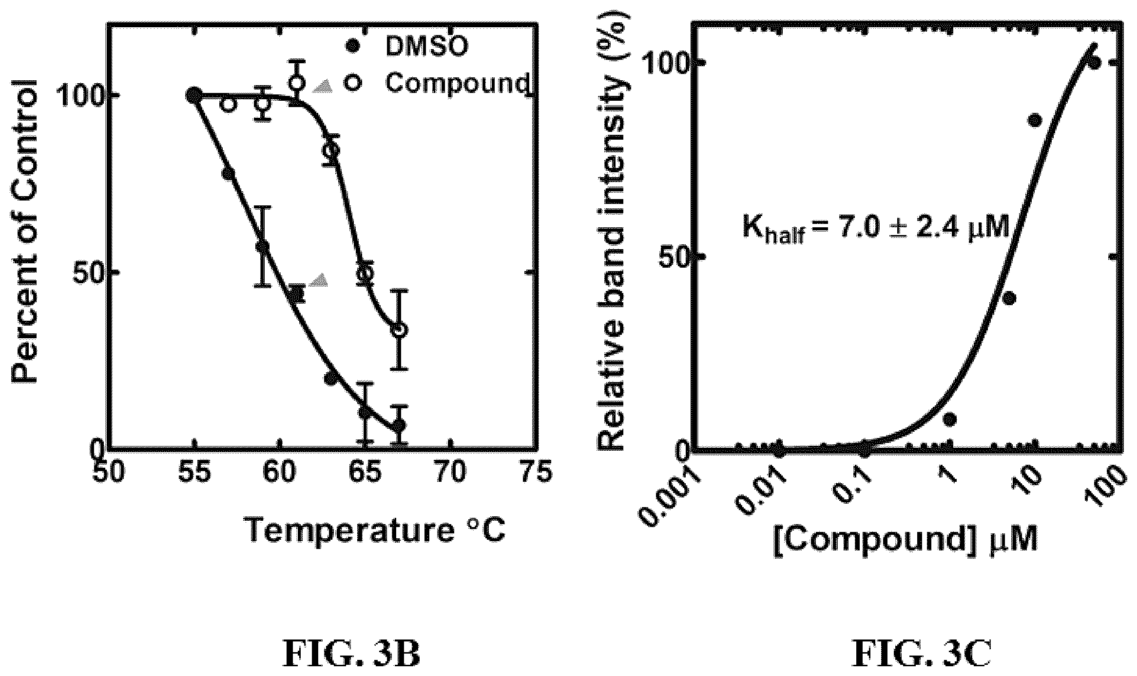 Patent US12552765 Figure 4 – Small molecule modulators of pantothenate kinases