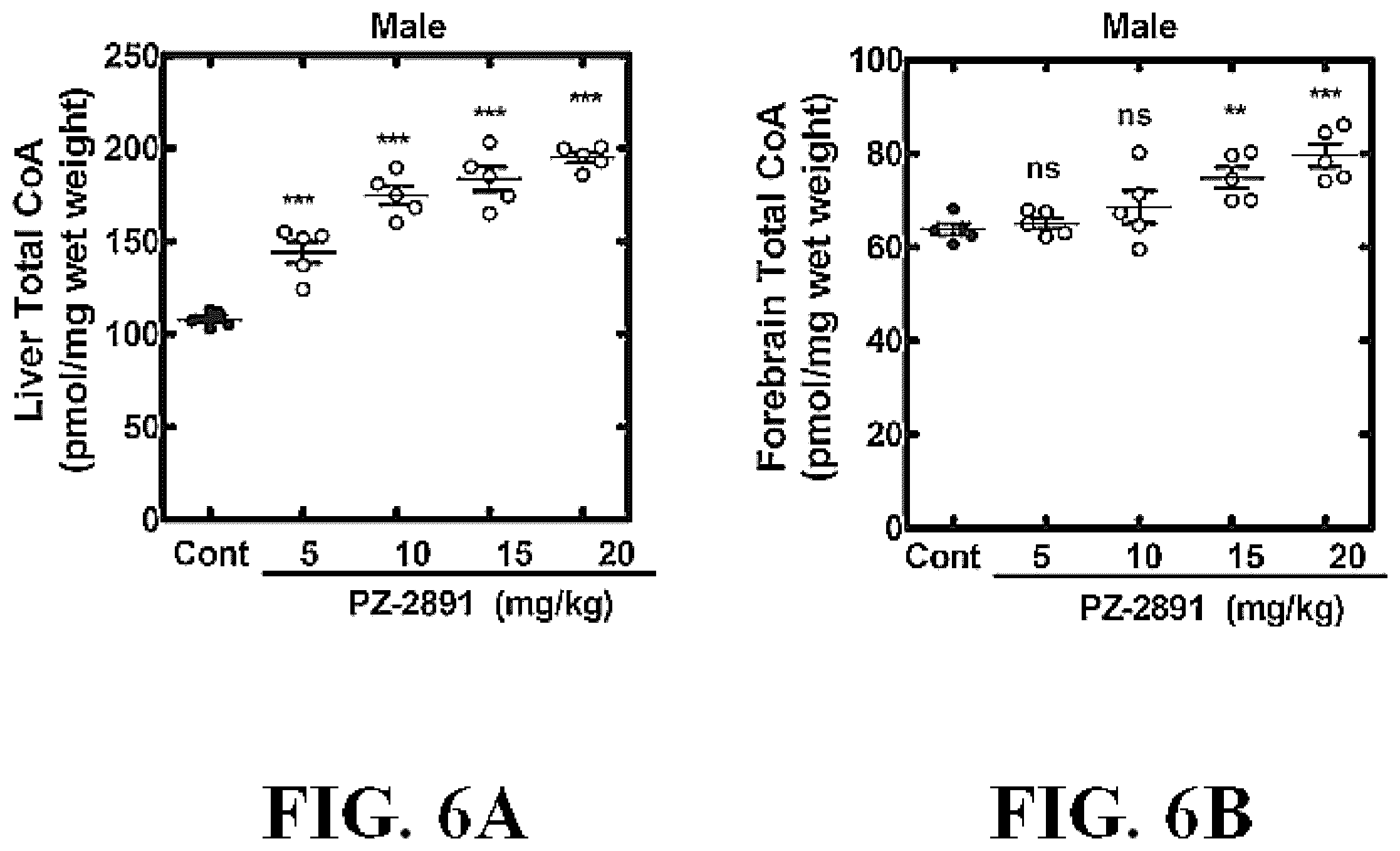 Patent US12552765 Figure 7 – Small molecule modulators of pantothenate kinases