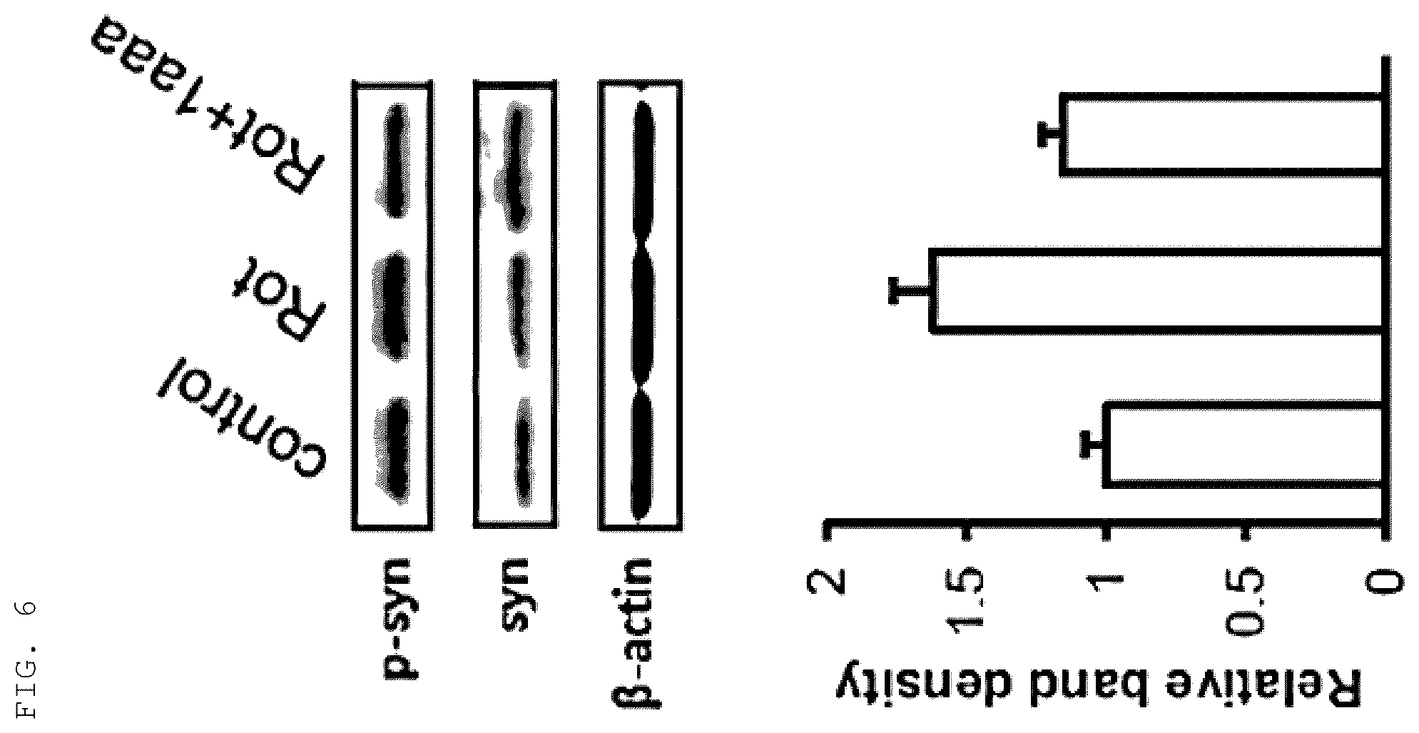 Patent US12552779 Figure 4 – 1-alkyl-5-arylidene-2-selenoxoimidazolidine-4-on and derivative thereof, preparation method therefor, and composition comprising same for preventing, alleviating or treating neurodegenerative diseases