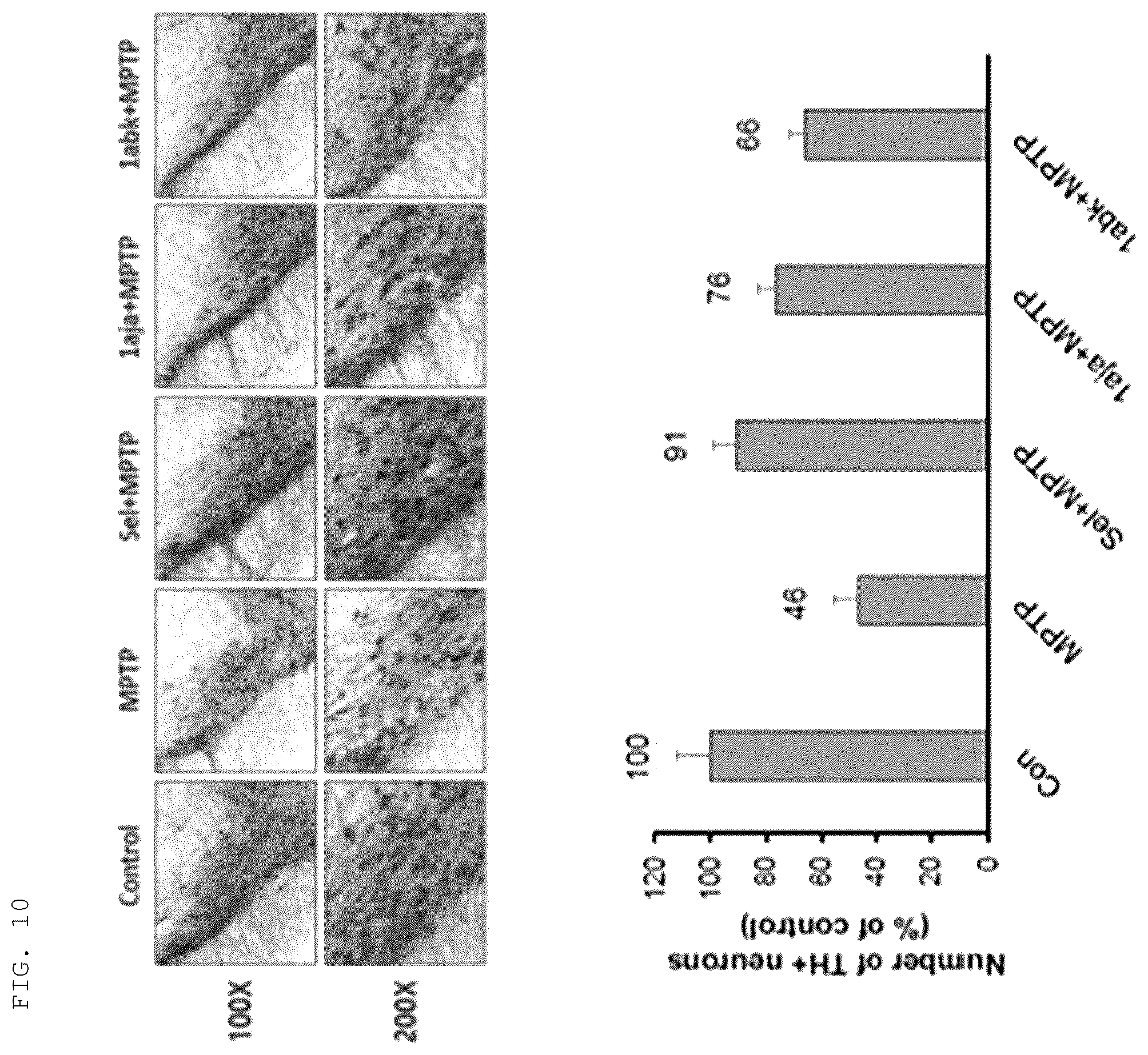 Patent US12552779 Figure 9 – 1-alkyl-5-arylidene-2-selenoxoimidazolidine-4-on and derivative thereof, preparation method therefor, and composition comprising same for preventing, alleviating or treating neurodegenerative diseases