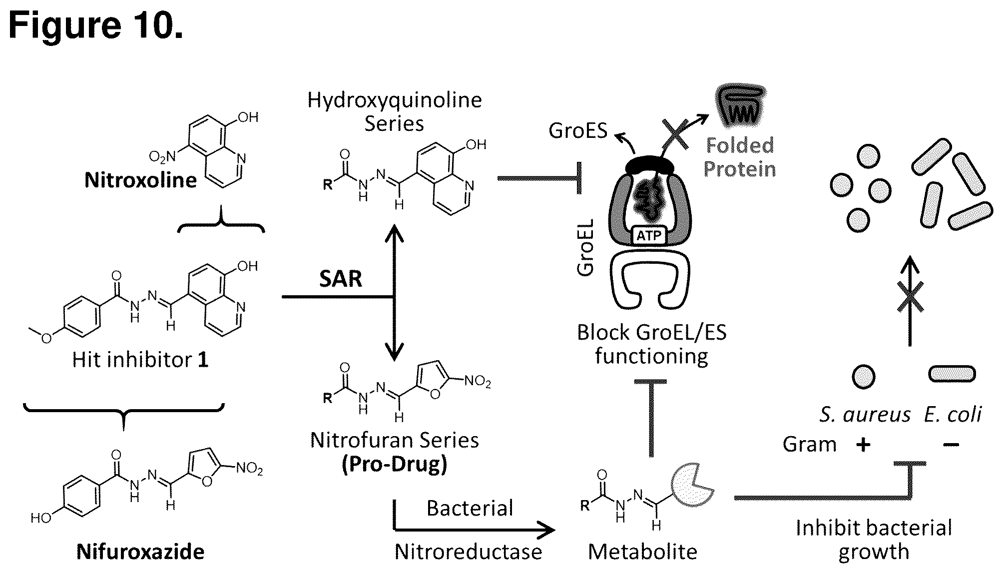 Patent US12552782 Figure 10 – Analogs of nitrofuran antibiotics to combat resistance