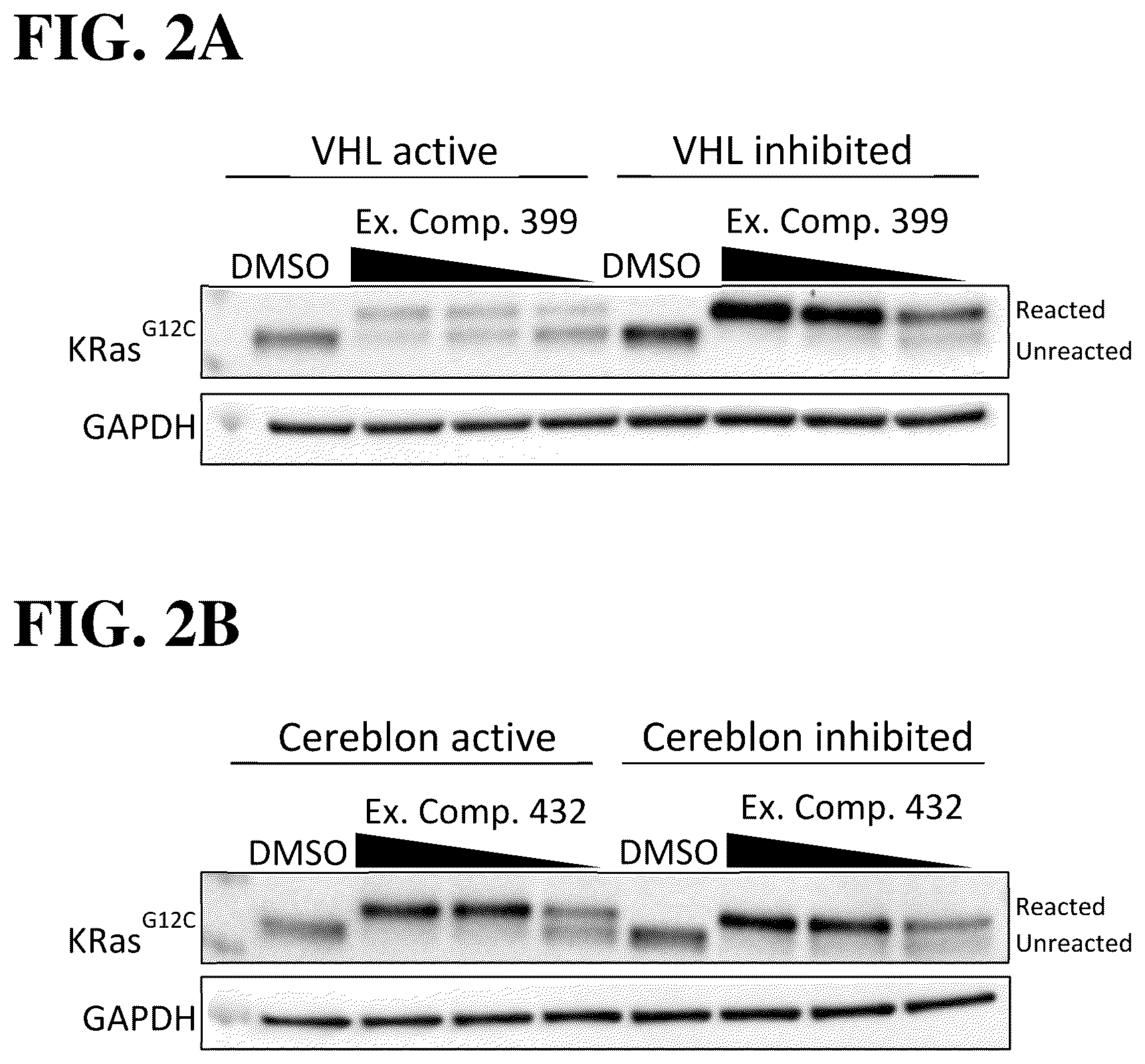 Patent US12552783 Figure 2 – Modulators of proteolysis and associated methods of use