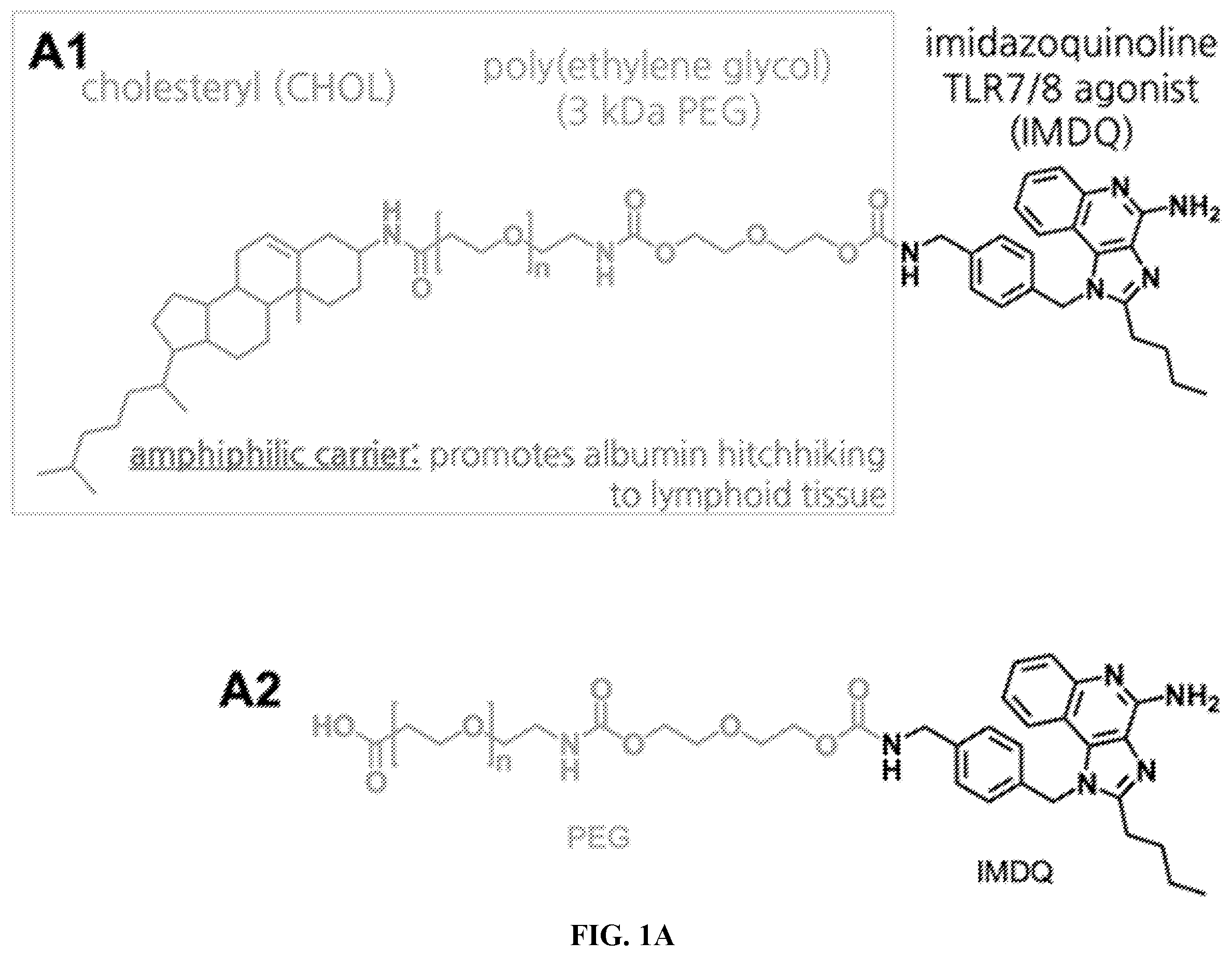 Patent US12552788 Figure 1 – IMDQ-PEG-CHOL adjuvant and uses thereof