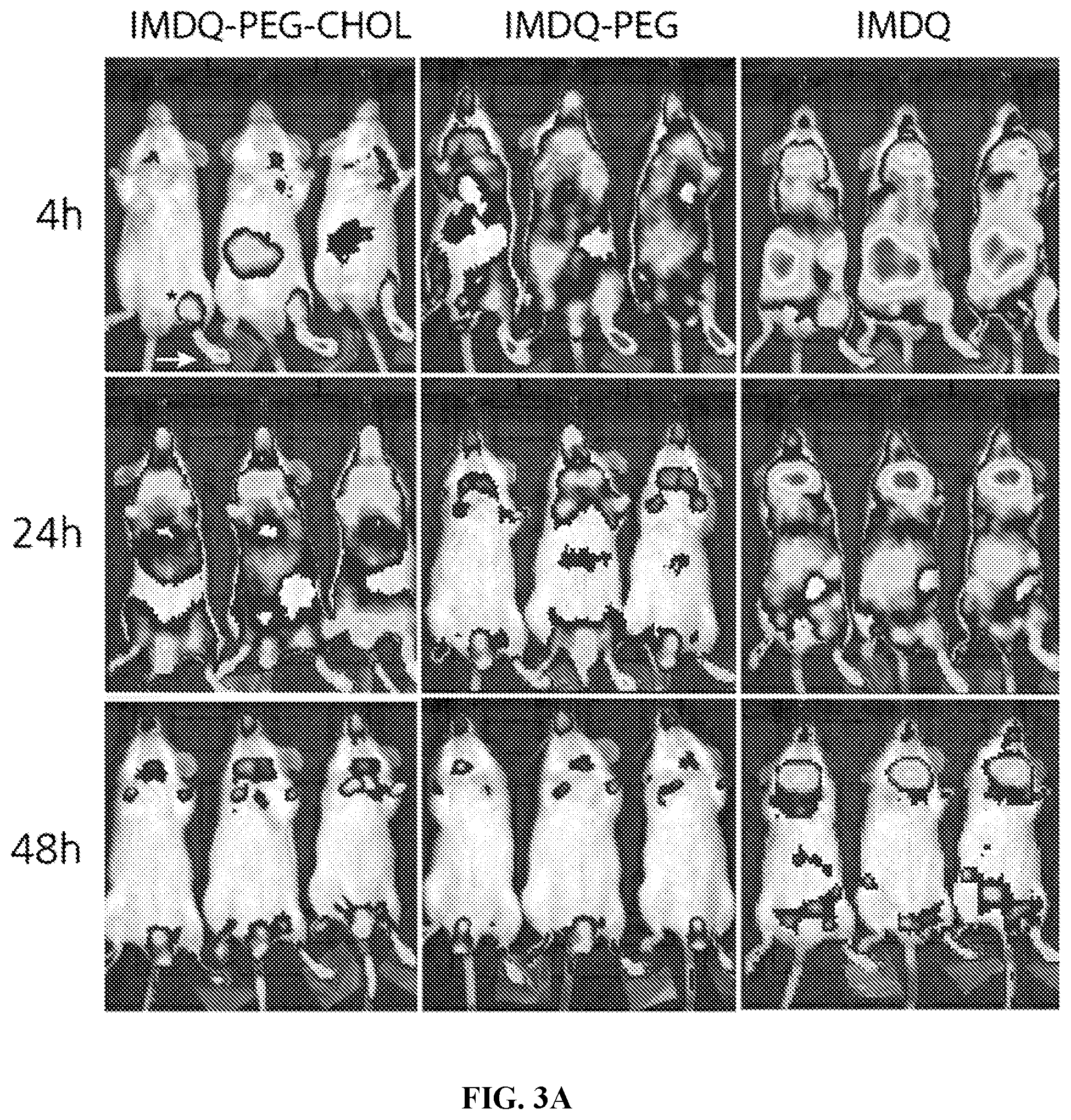 Patent US12552788 Figure 5 – IMDQ-PEG-CHOL adjuvant and uses thereof