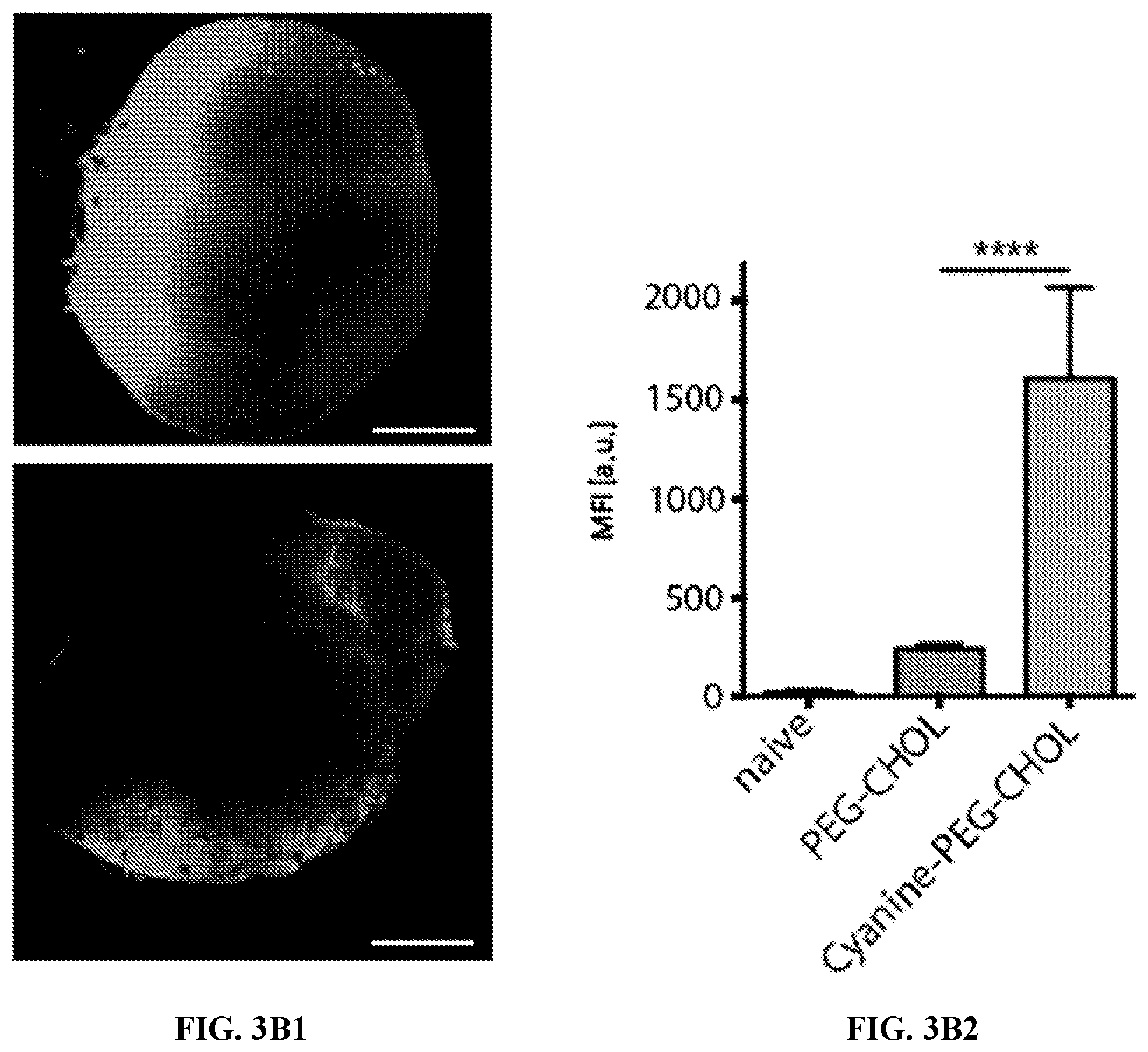 Patent US12552788 Figure 6 – IMDQ-PEG-CHOL adjuvant and uses thereof