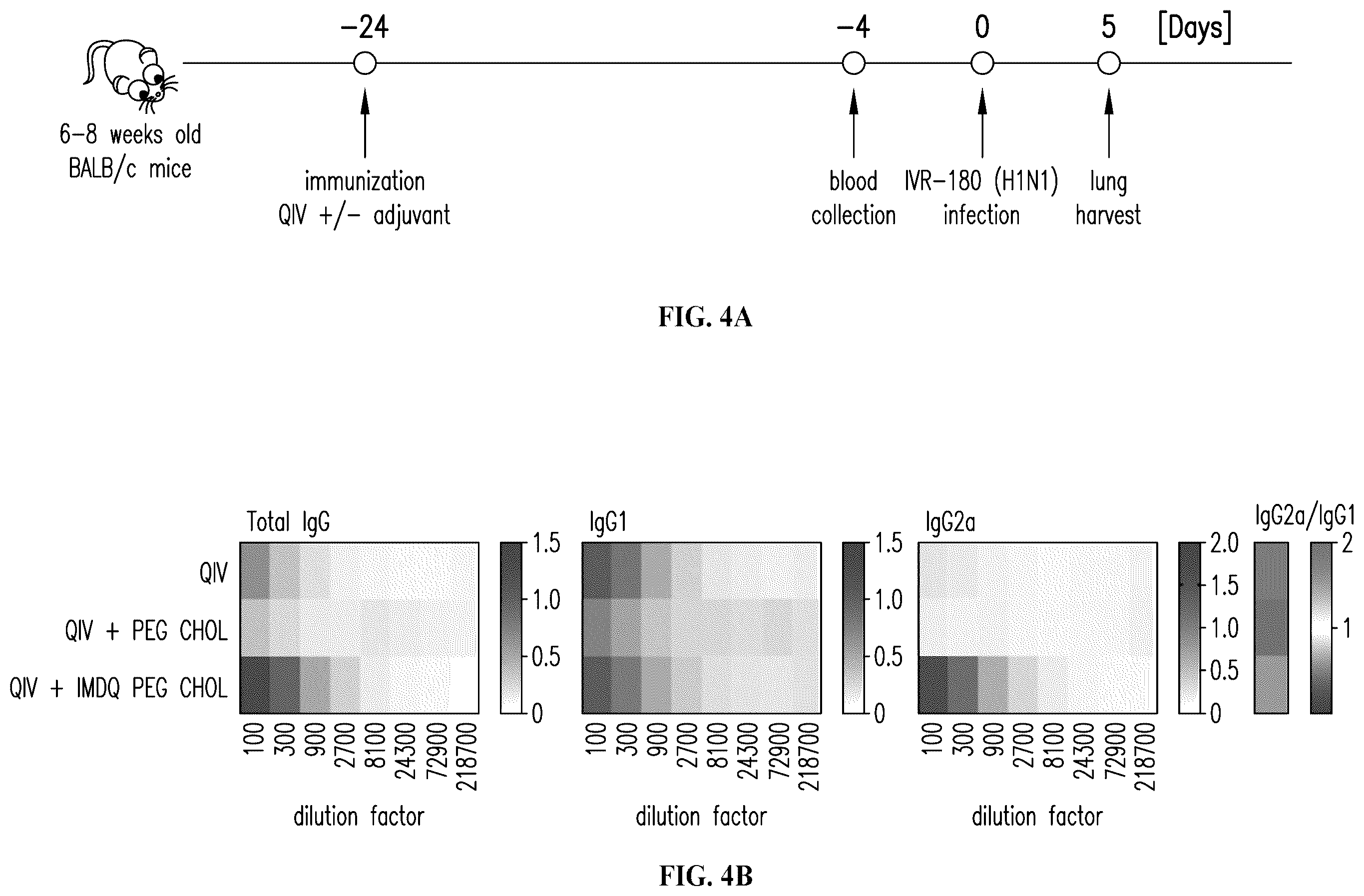 Patent US12552788 Figure 8 – IMDQ-PEG-CHOL adjuvant and uses thereof