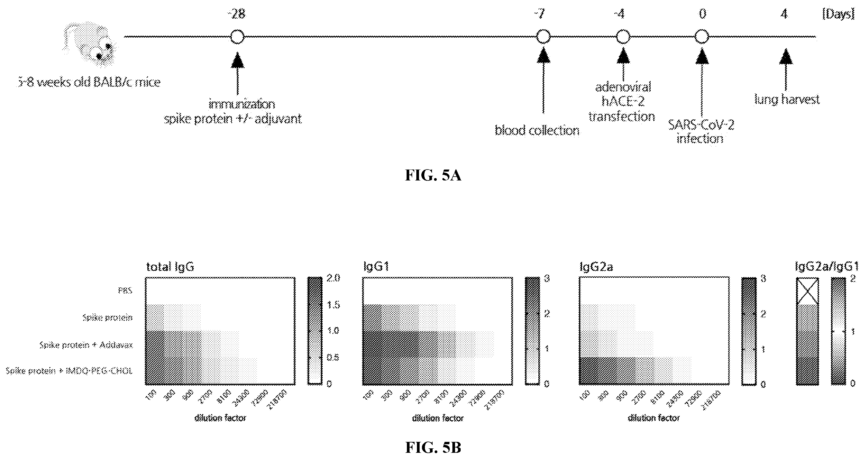 Patent US12552788 Figure 10 – IMDQ-PEG-CHOL adjuvant and uses thereof