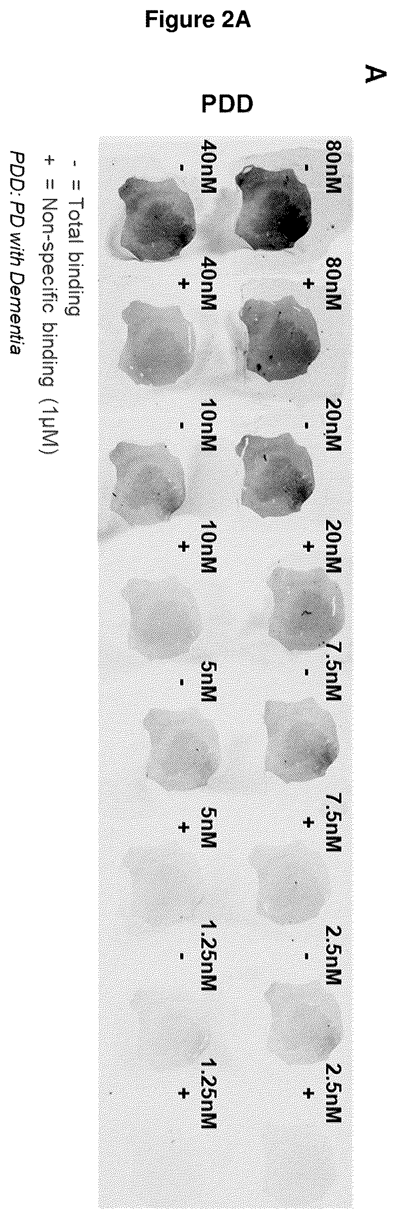 Patent US12552800 Figure 2 – Compounds for diagnosis