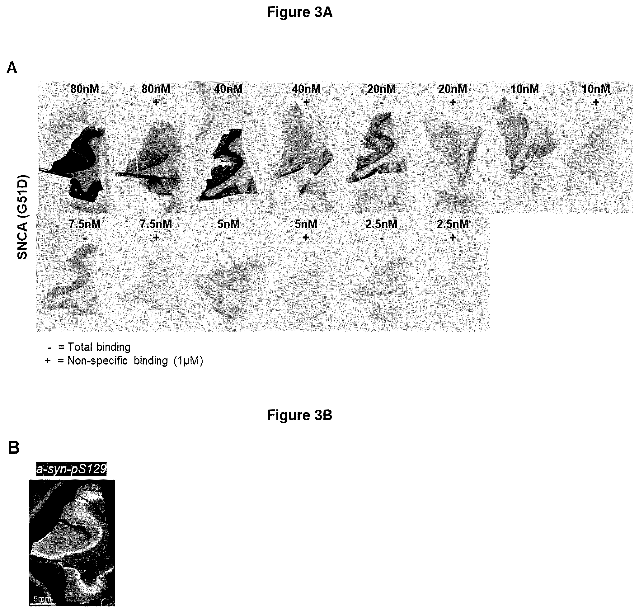 Patent US12552800 Figure 4 – Compounds for diagnosis