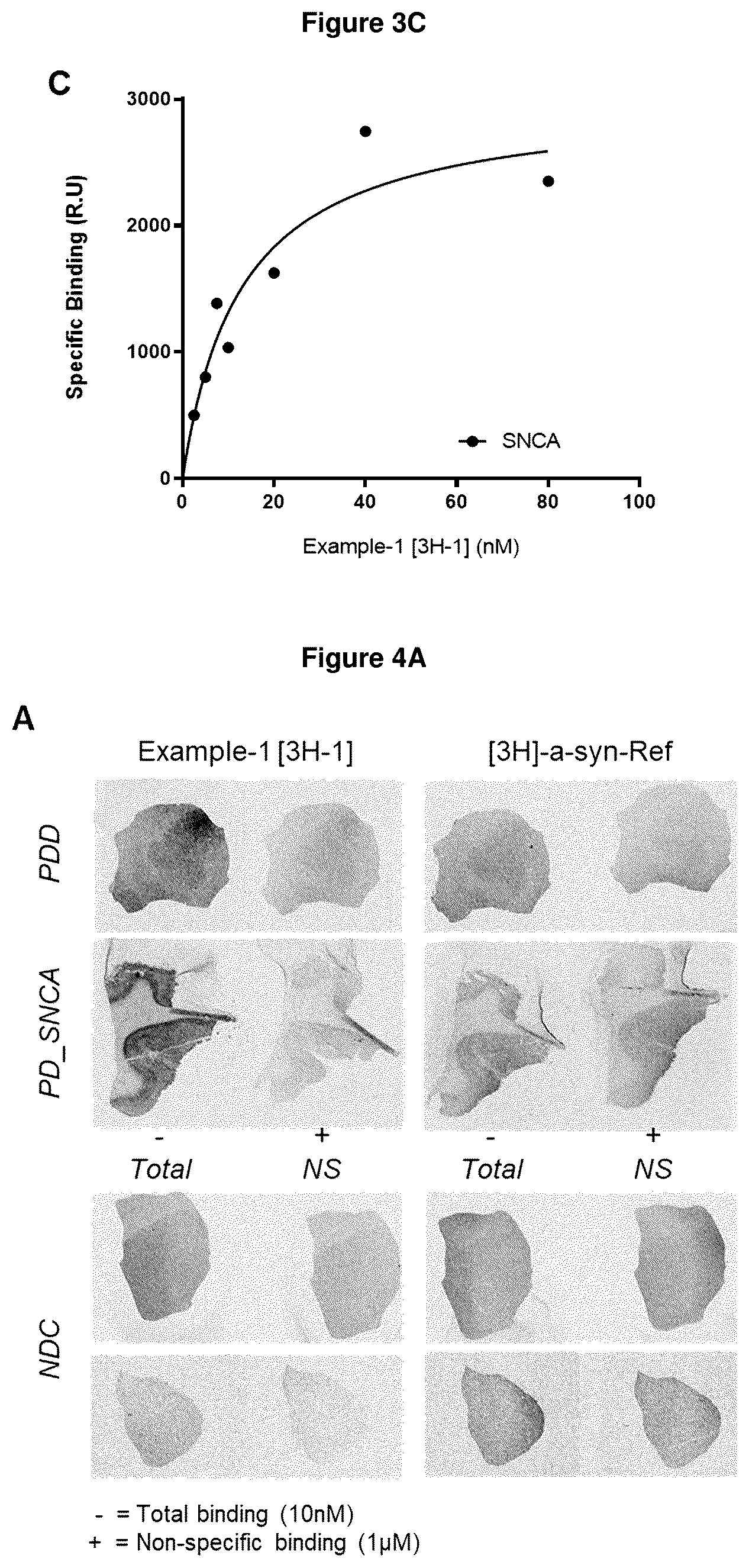 Patent US12552800 Figure 5 – Compounds for diagnosis