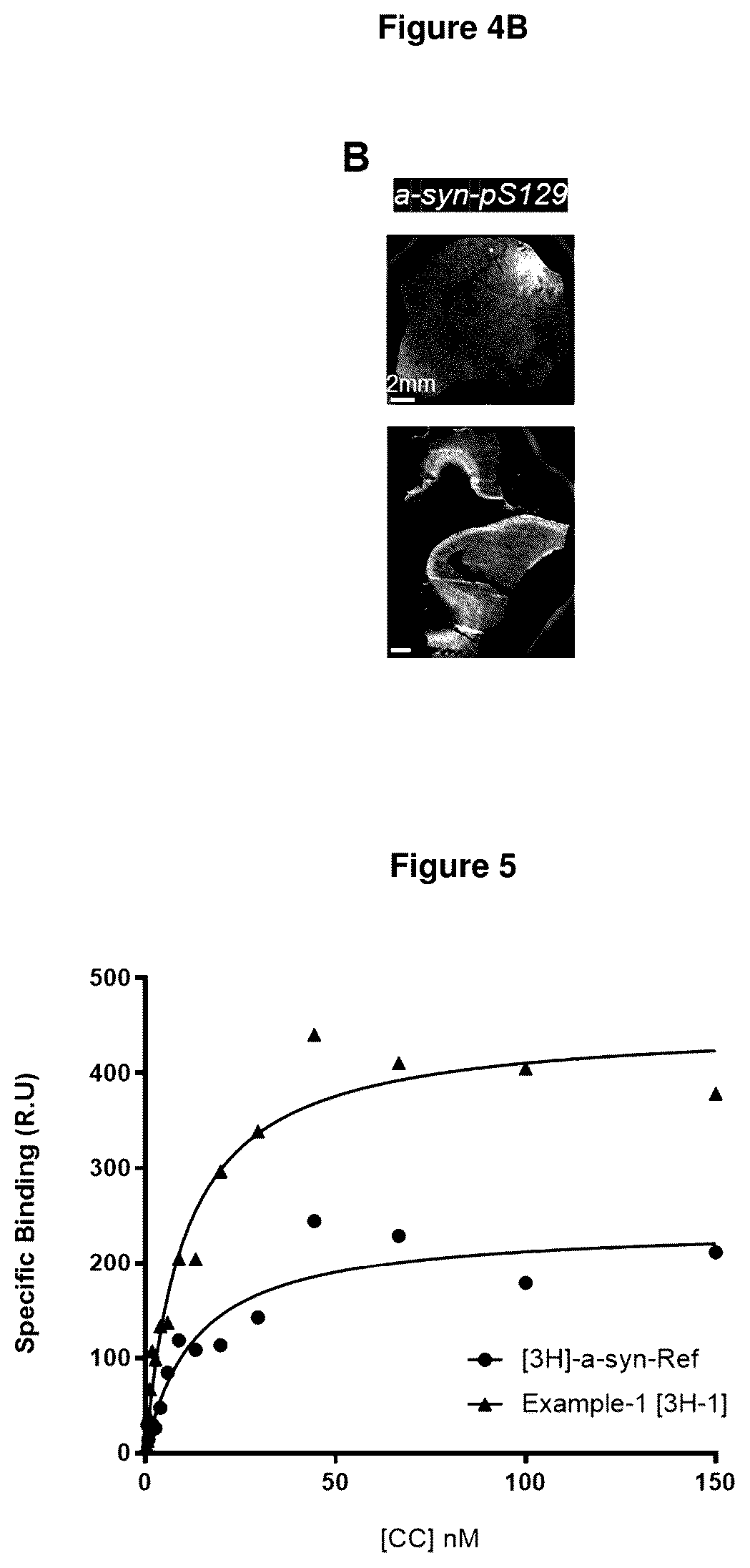 Patent US12552800 Figure 6 – Compounds for diagnosis